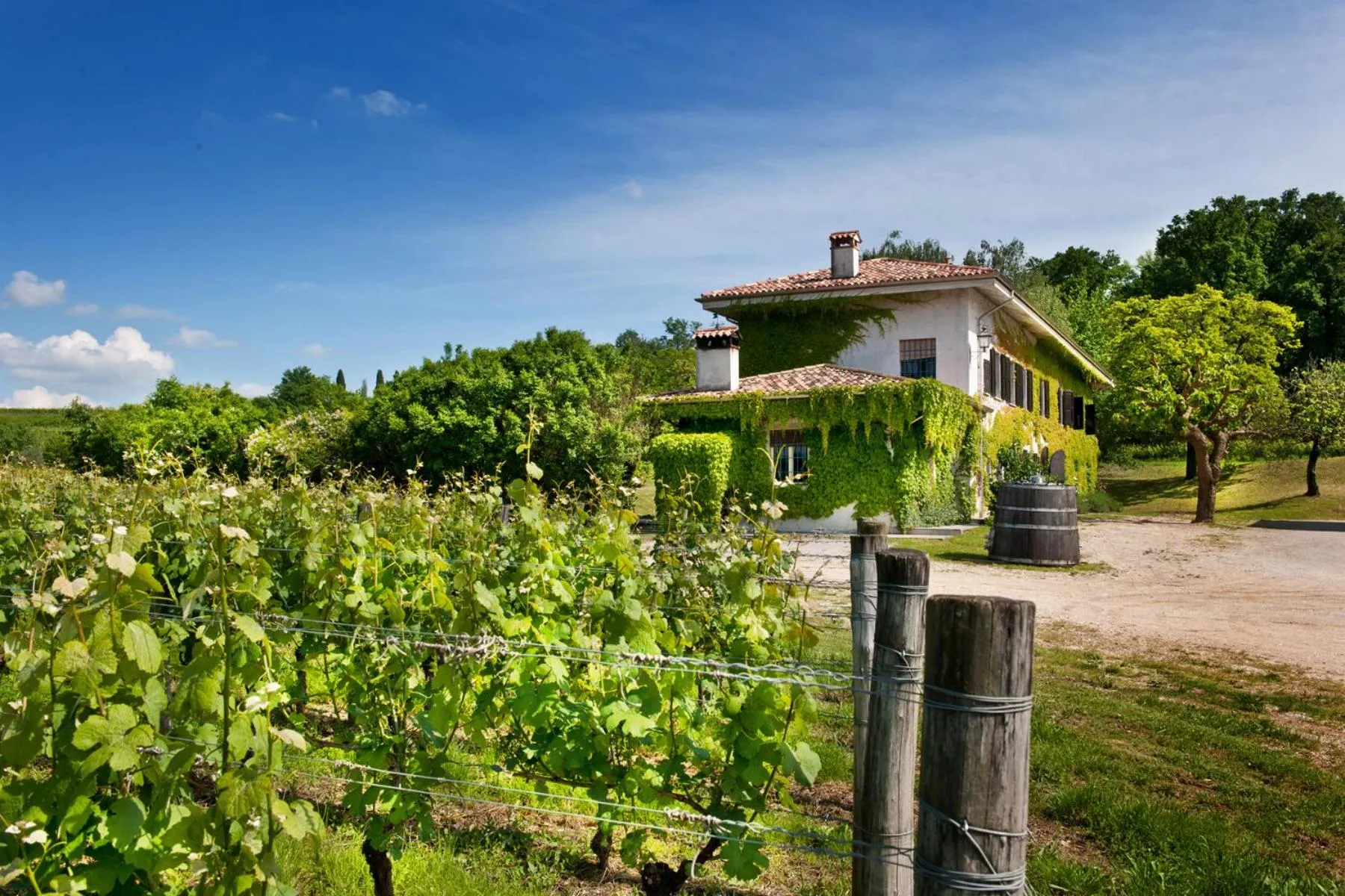 Garden in Agriturismo Tra Le Vigne