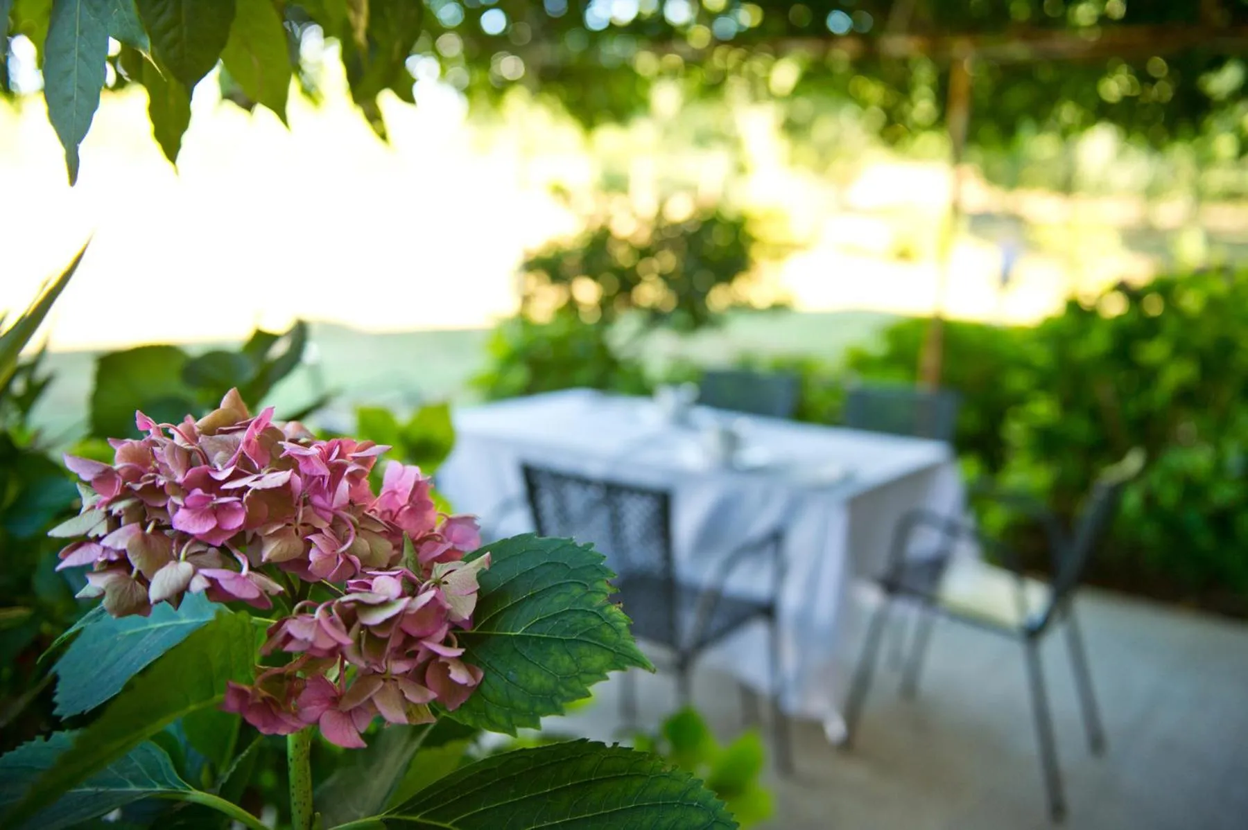 Agriturismo Tra Le Vigne