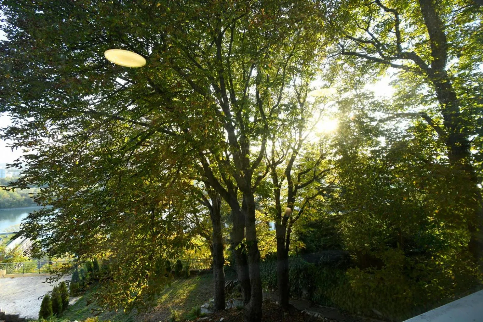 Natural landscape in River View Apartments Hotel
