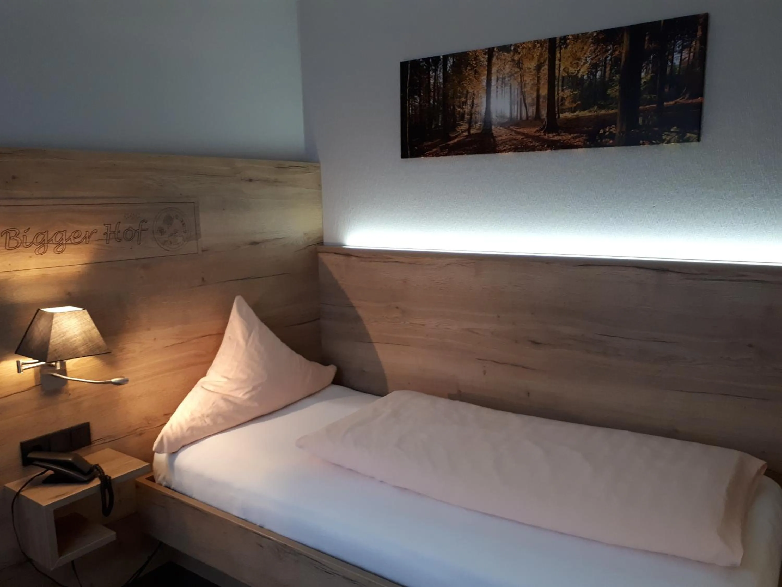 Hotel Bigger Hof - Wirtshaus Platzhirsch am Jahnplatz
