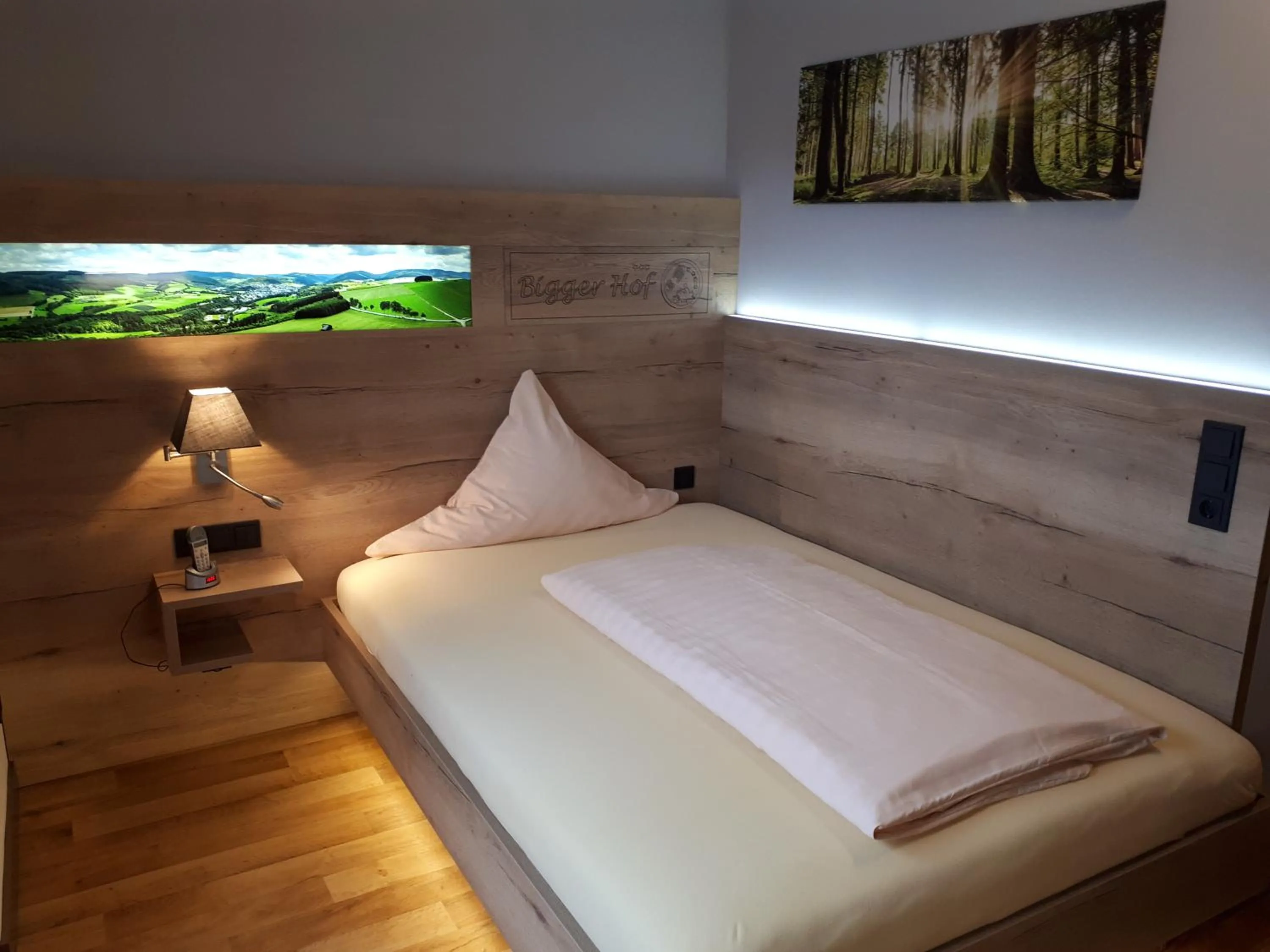 Deluxe Single Room in Hotel Bigger Hof - Wirtshaus Platzhirsch am Jahnplatz