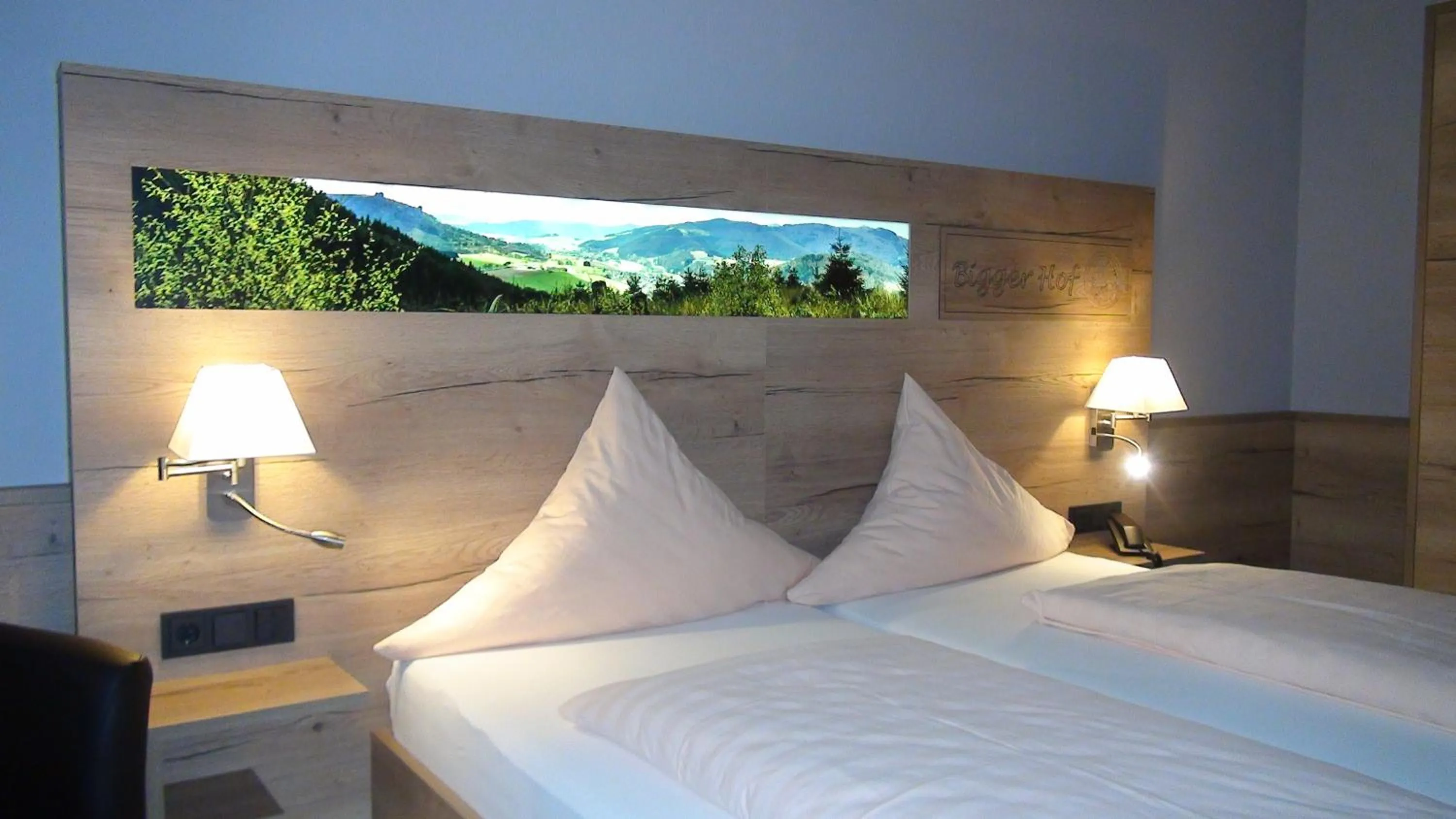 Deluxe Double Room with Bath in Hotel Bigger Hof - Wirtshaus Platzhirsch am Jahnplatz