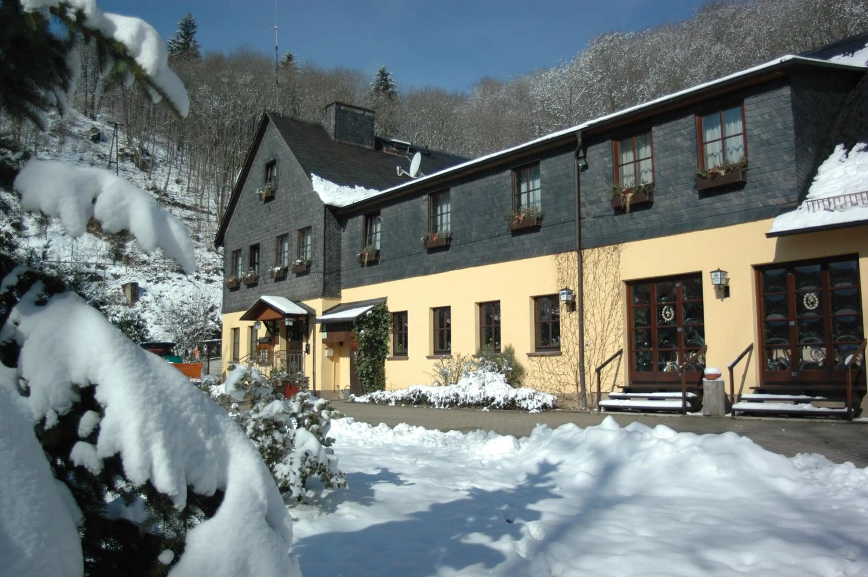 Winter in Flair-Waldhotel Mellestollen