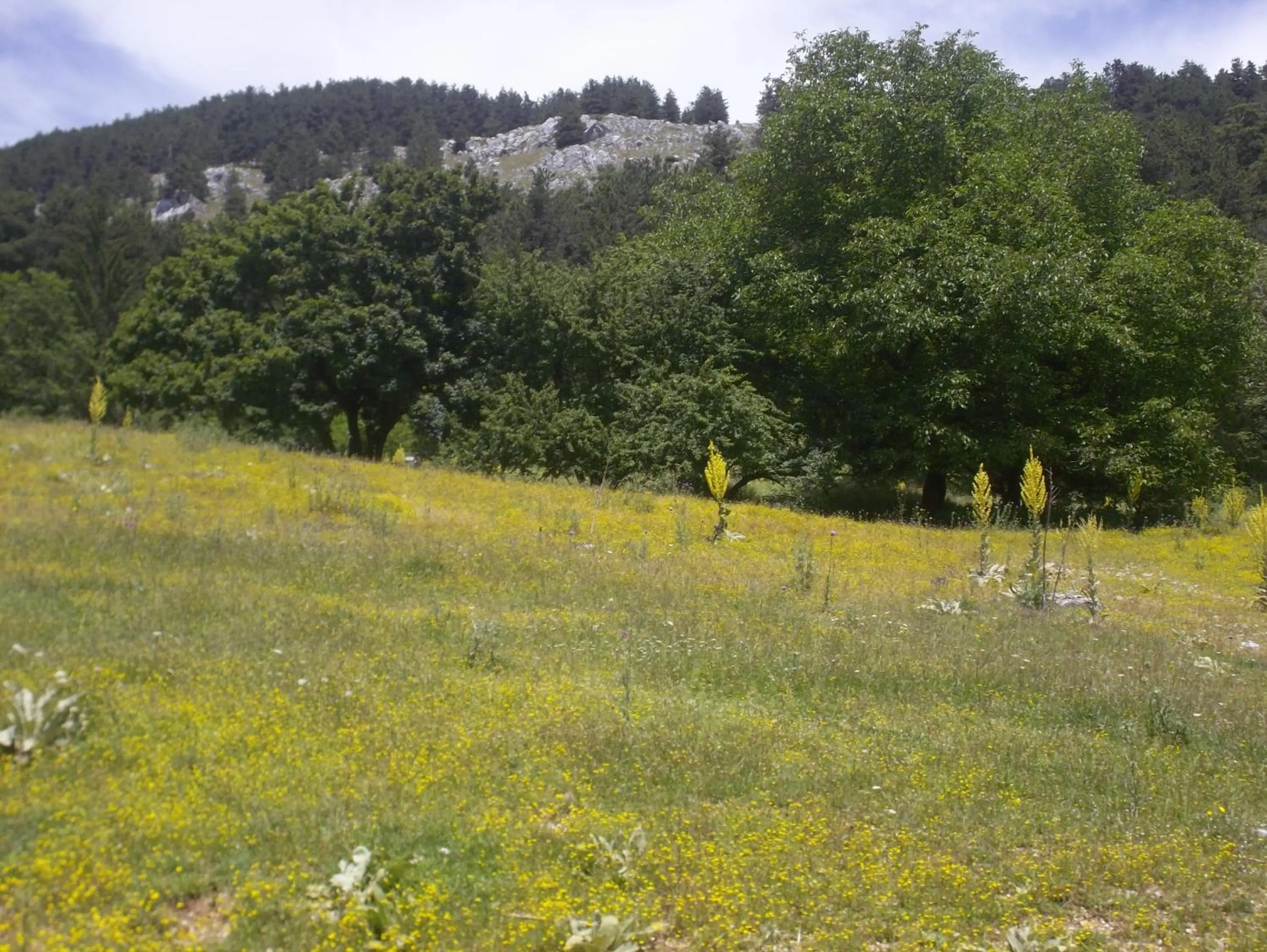 Le antiche Torri