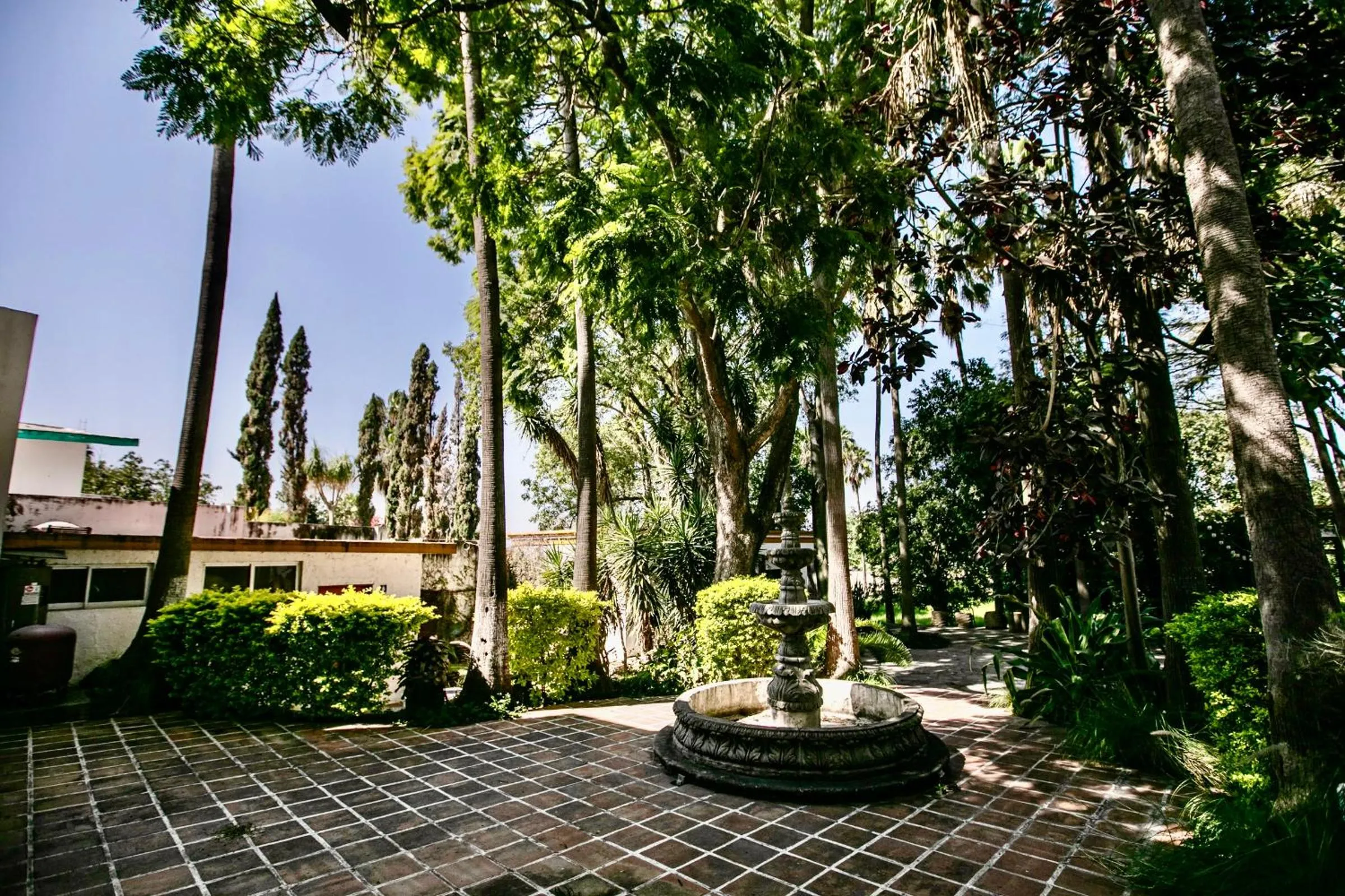 Garden view in Hotel Hacienda San Isidro