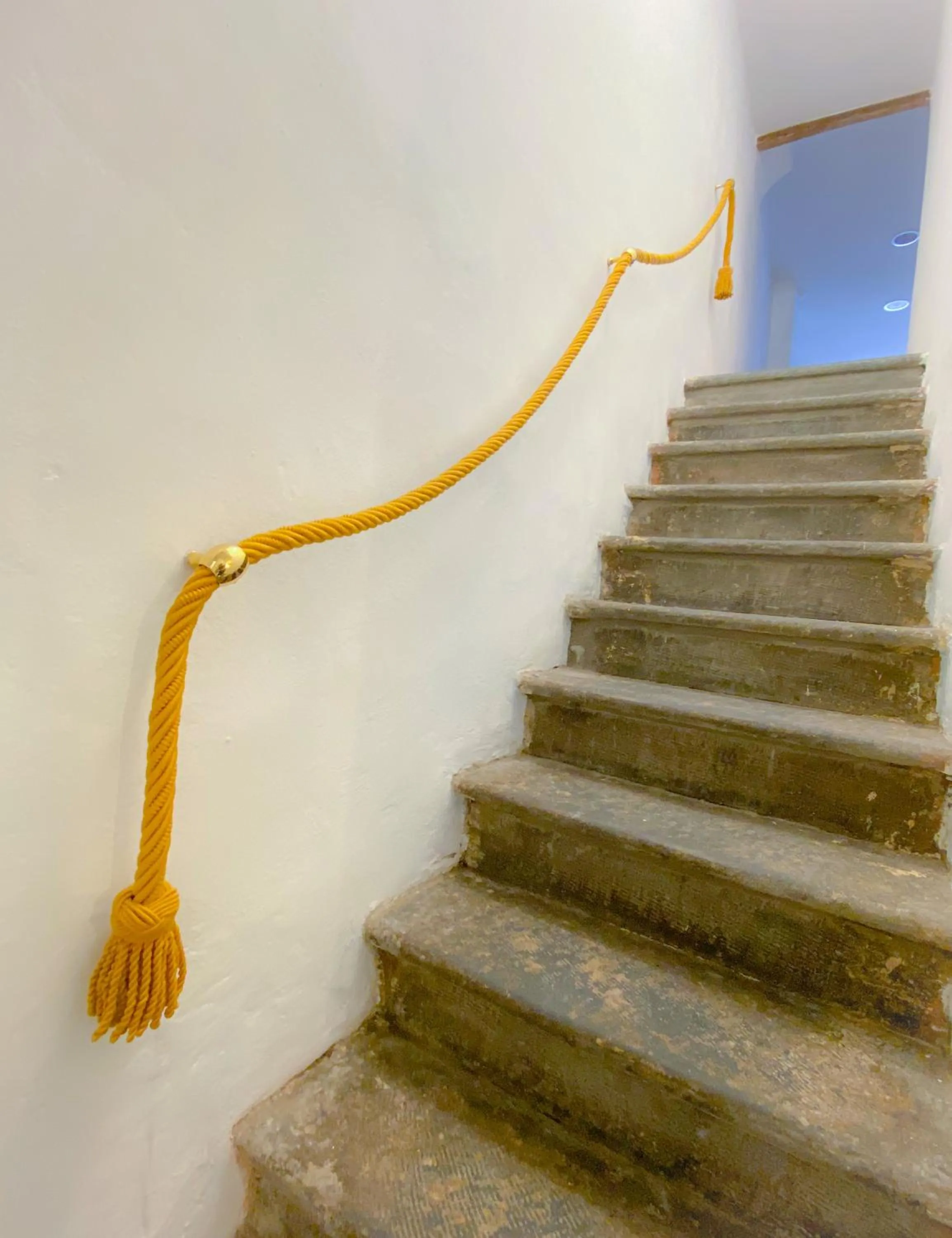 Area and facilities in OROROSA Lucca City Center Apartment