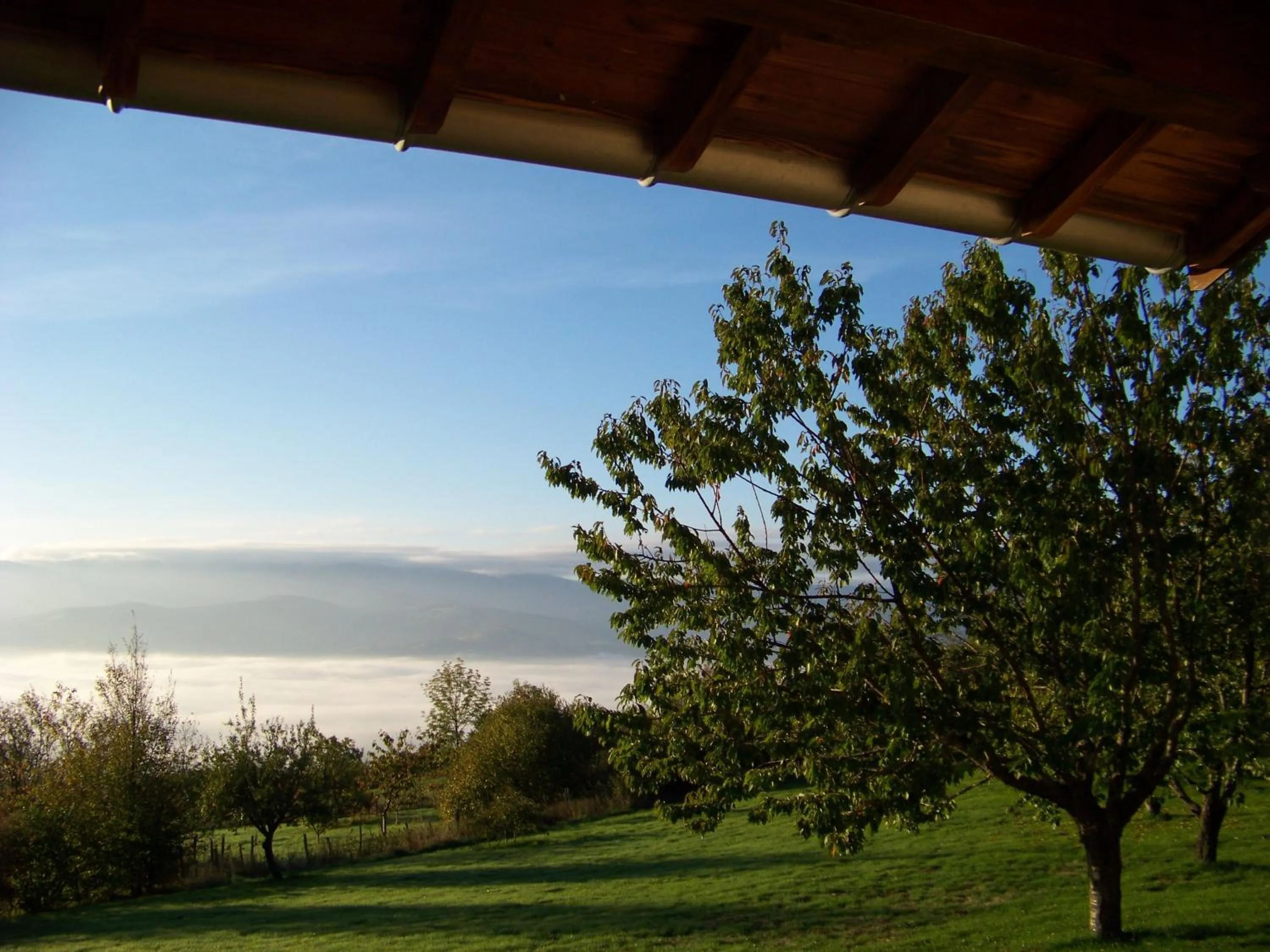 Garden in Croix Blanche