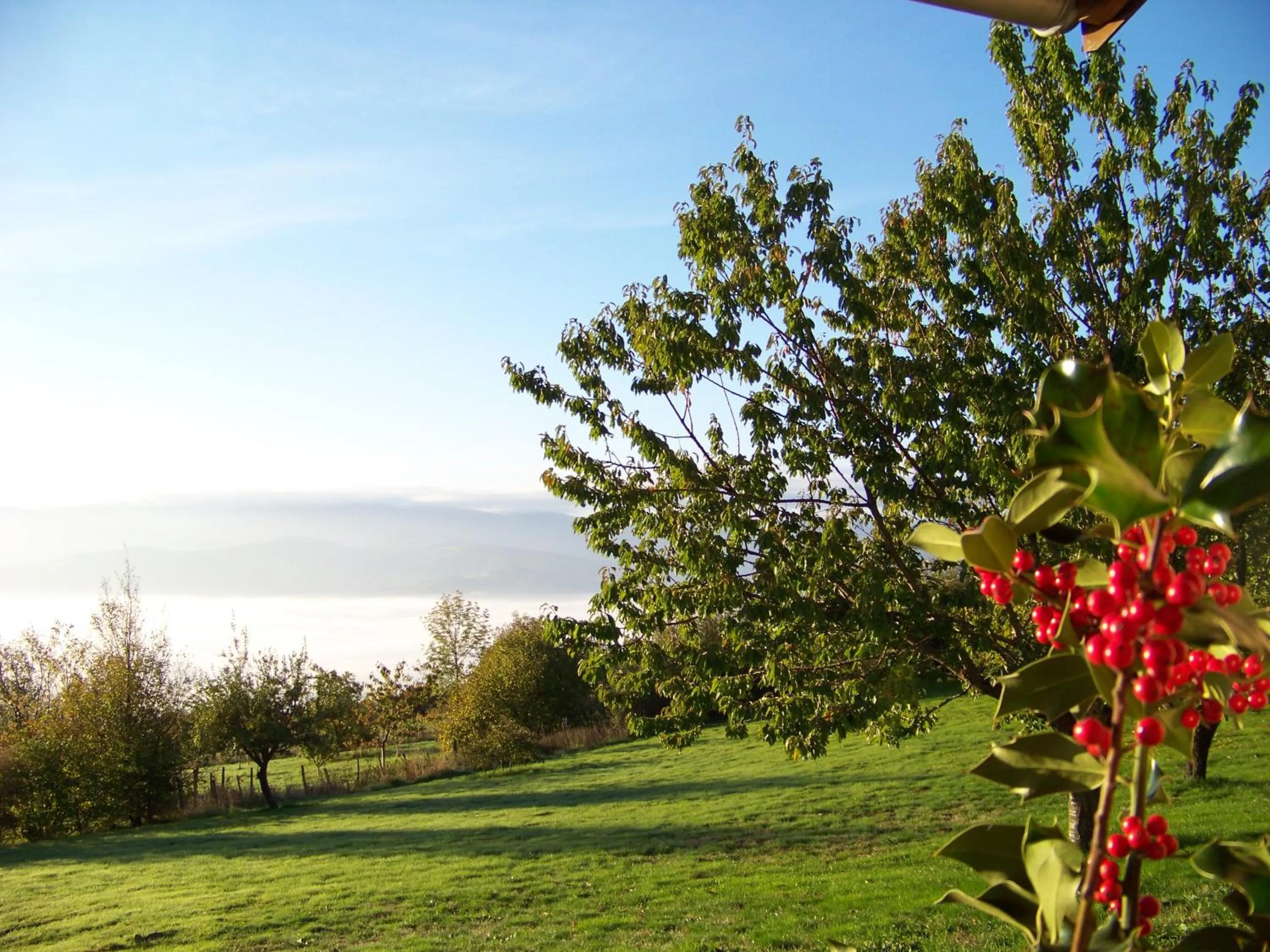 Property building in Croix Blanche
