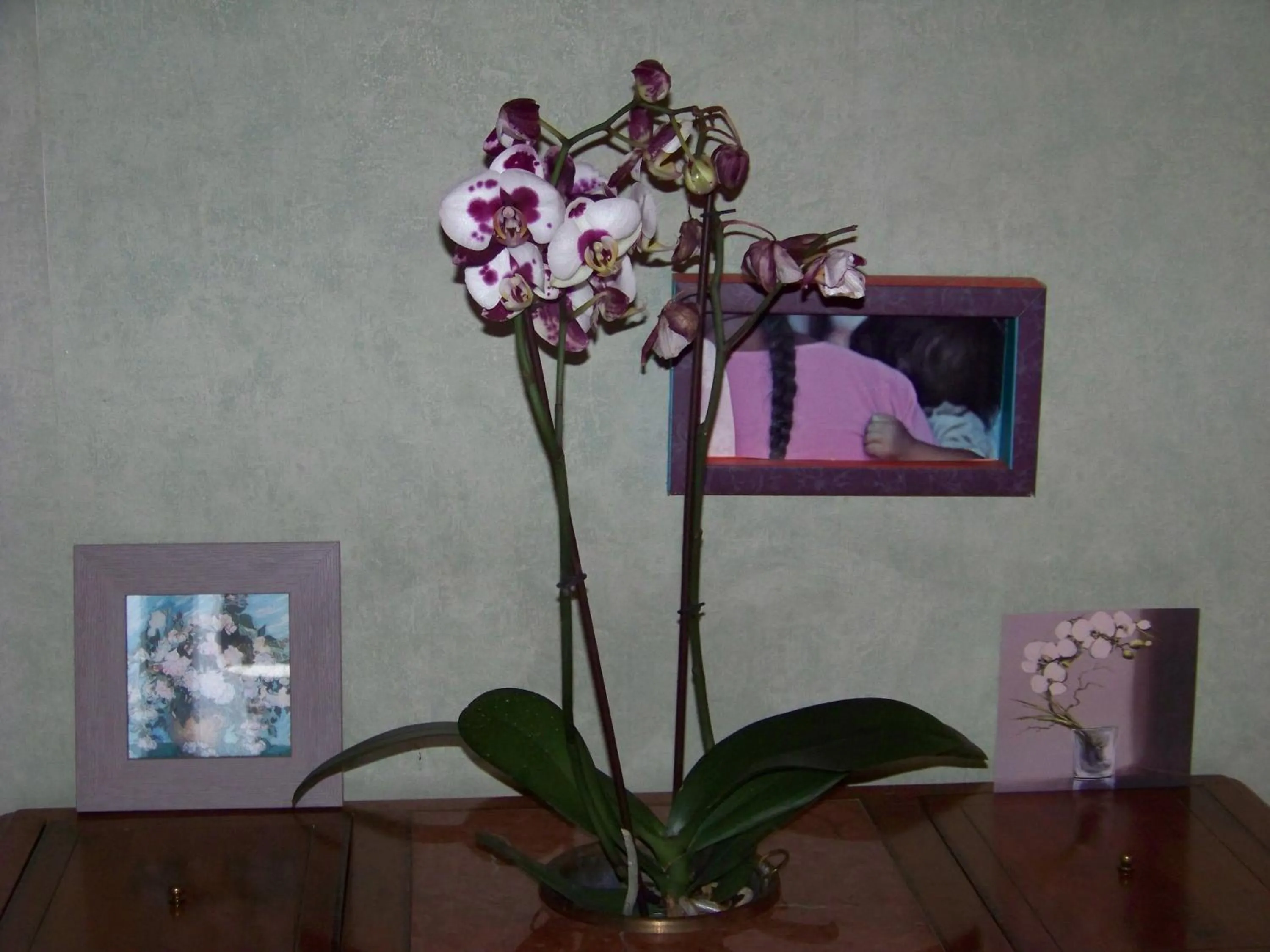 Decorative detail in Croix Blanche