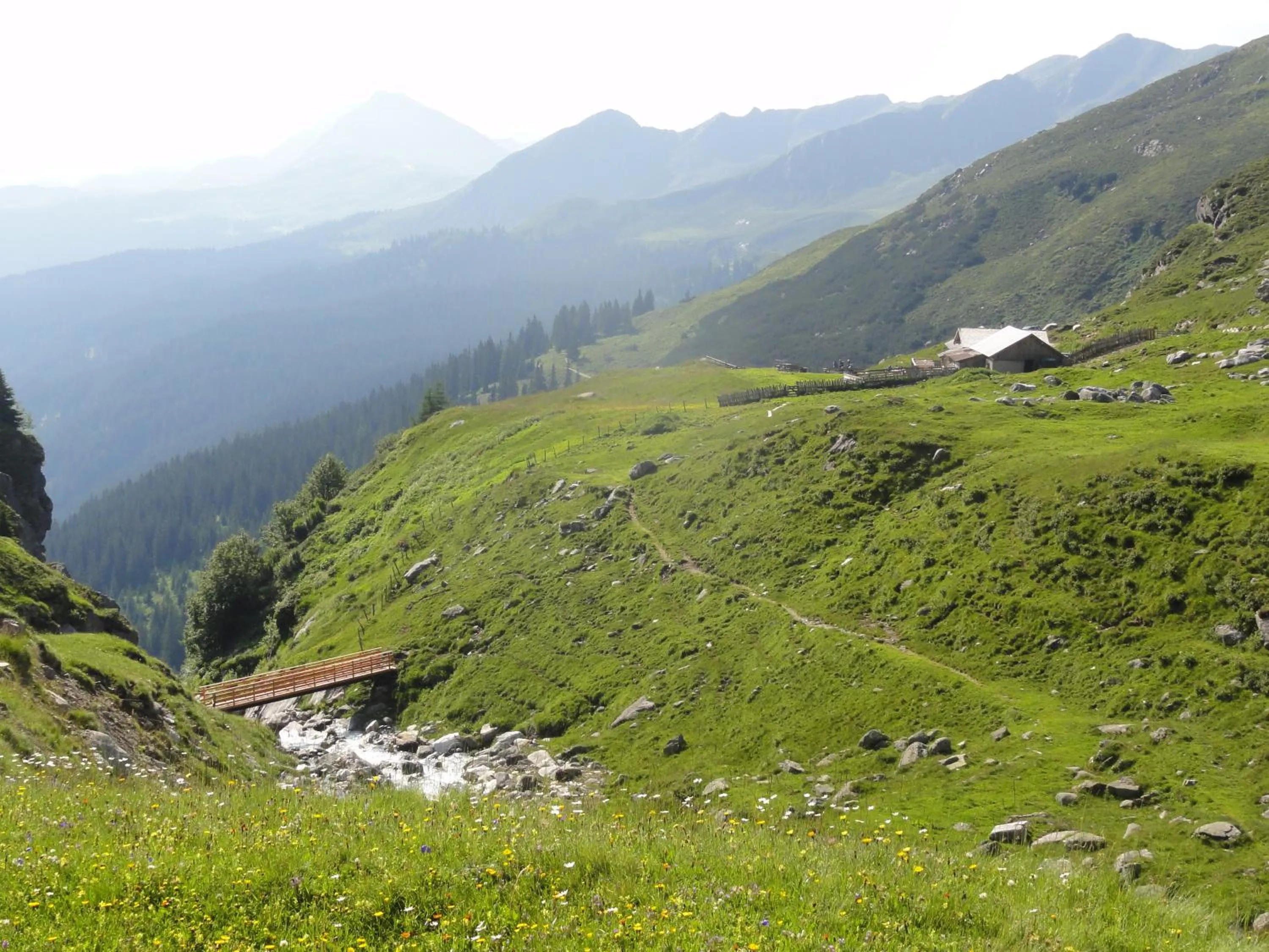 Natural landscape in Hotel Schölzhorn Superior