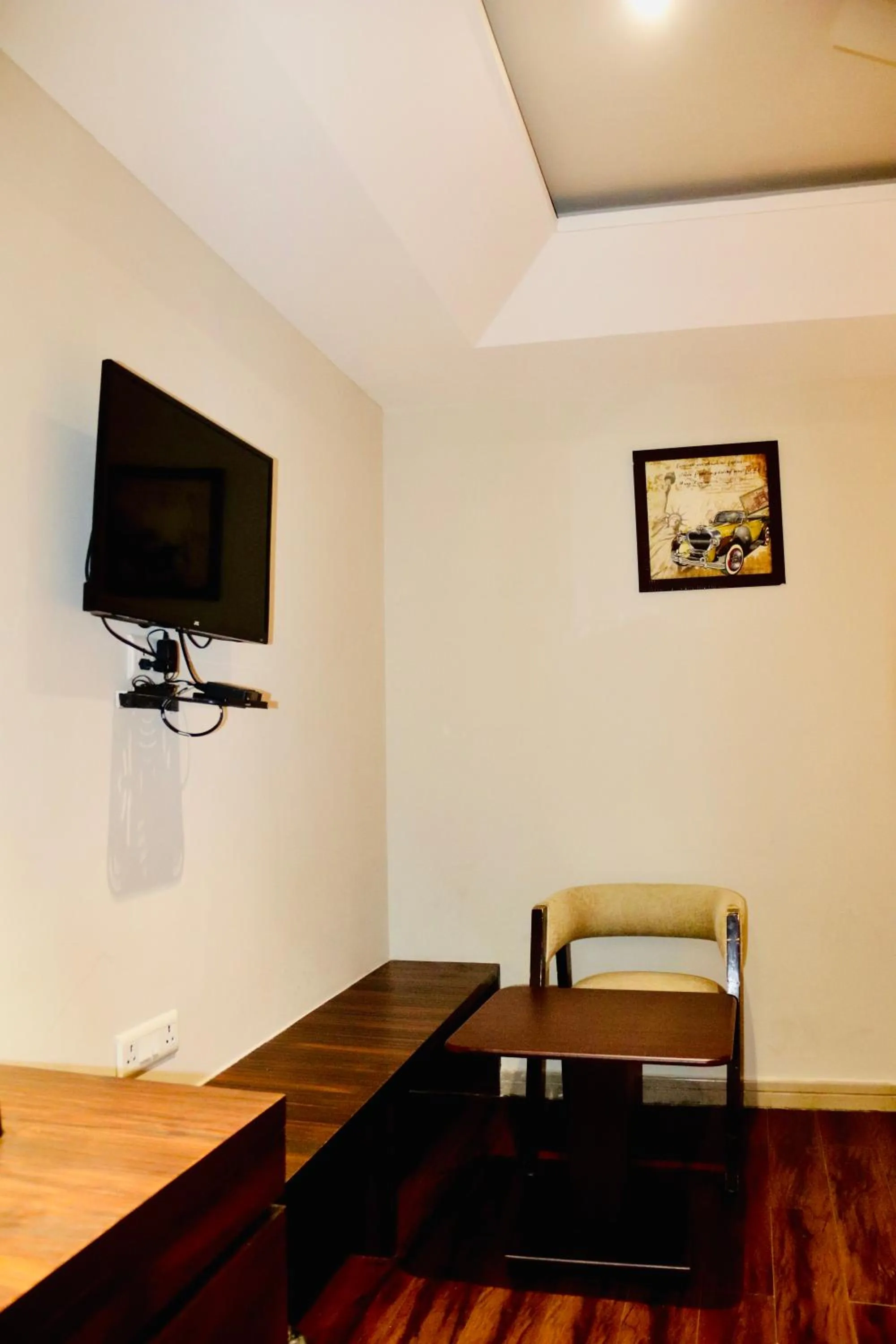 TV and multimedia in Hotel Magic Tree Karol Bagh Metro Station New Delhi