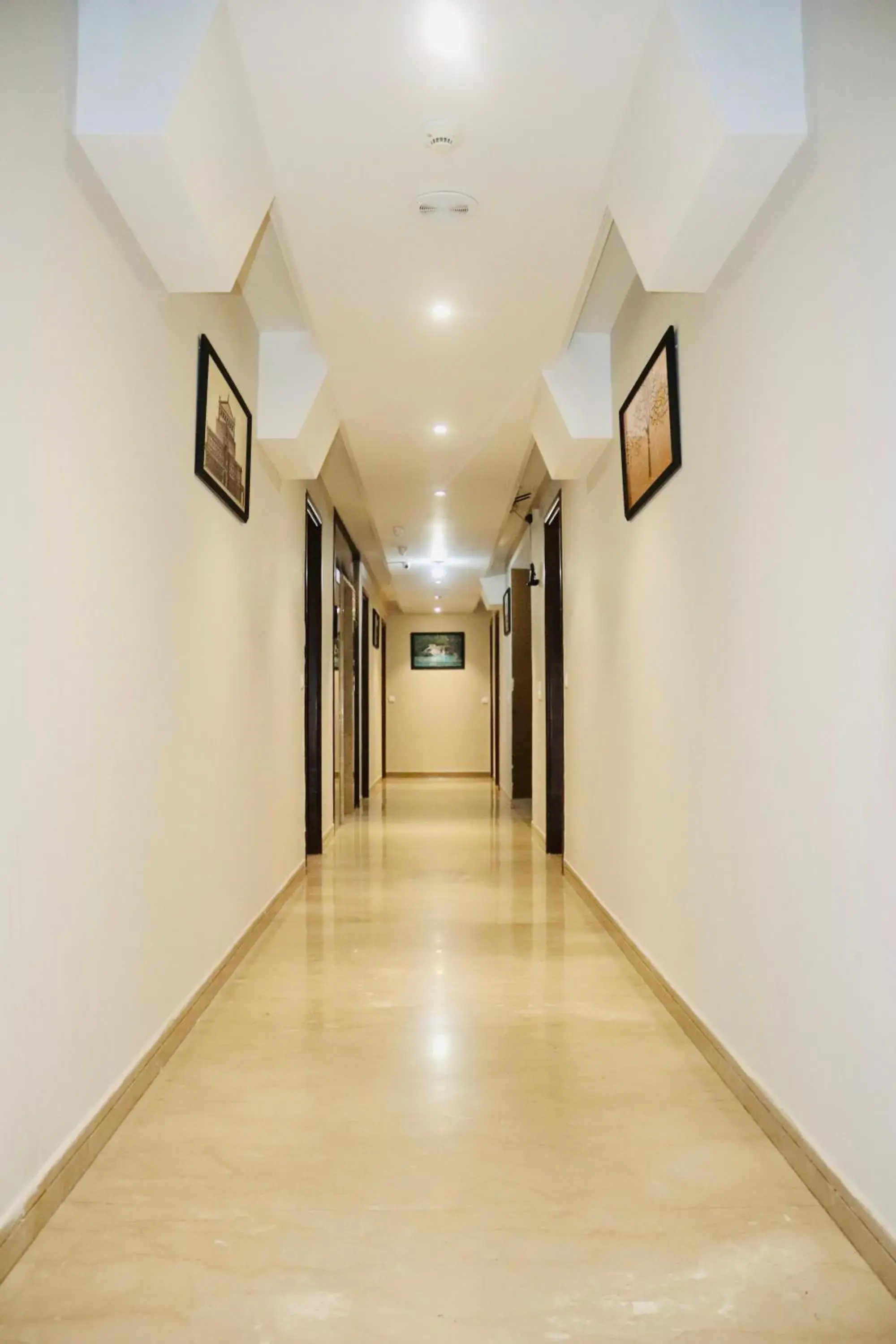 Lobby or reception in Hotel Magic Tree Karol Bagh Metro Station New Delhi Lobby or reception in Hotel Magic Tree Karol Bagh Metro Station New Delhi