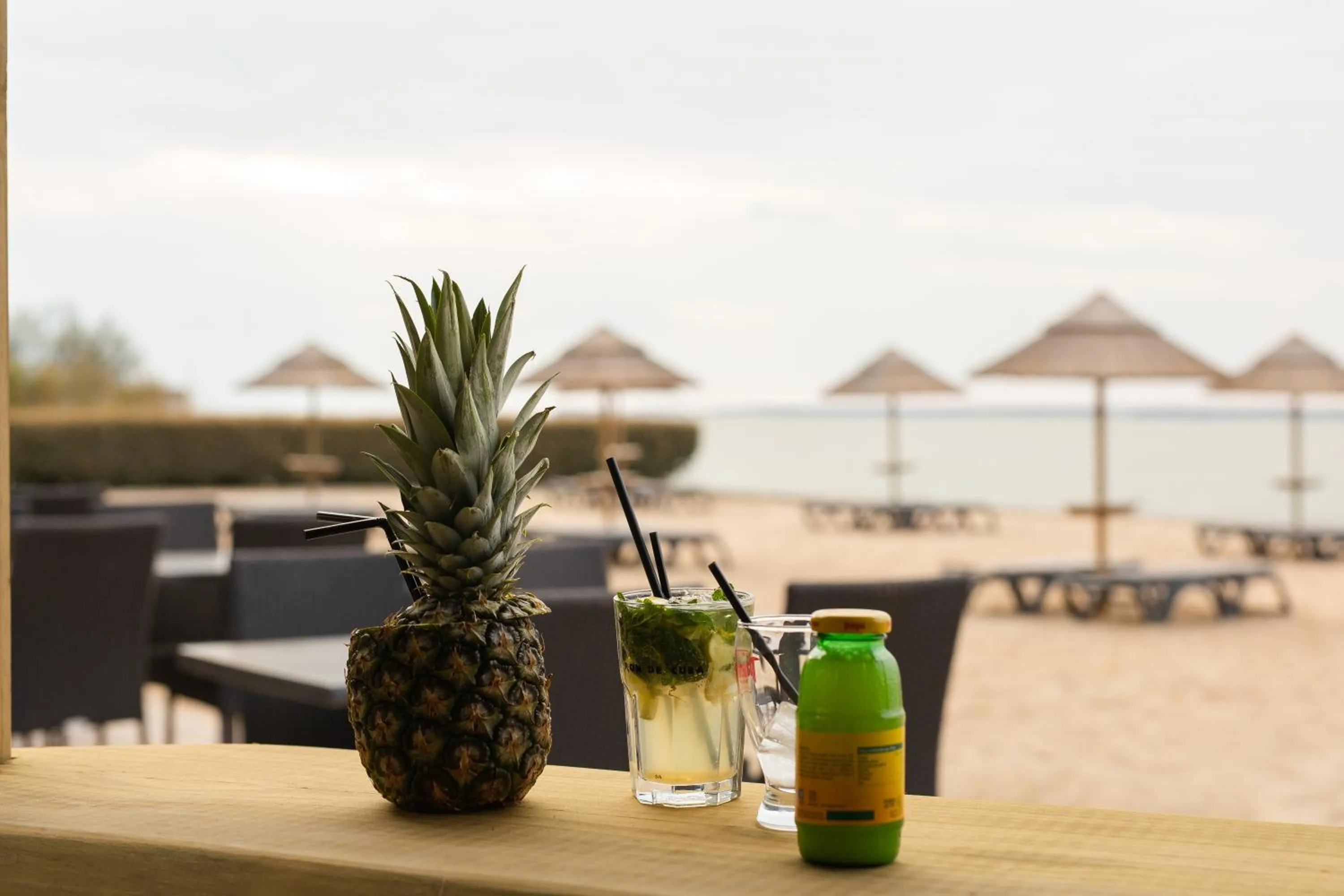 Lounge or bar in Hôtel de la Plage, Ronce-les-bains, La Tremblade