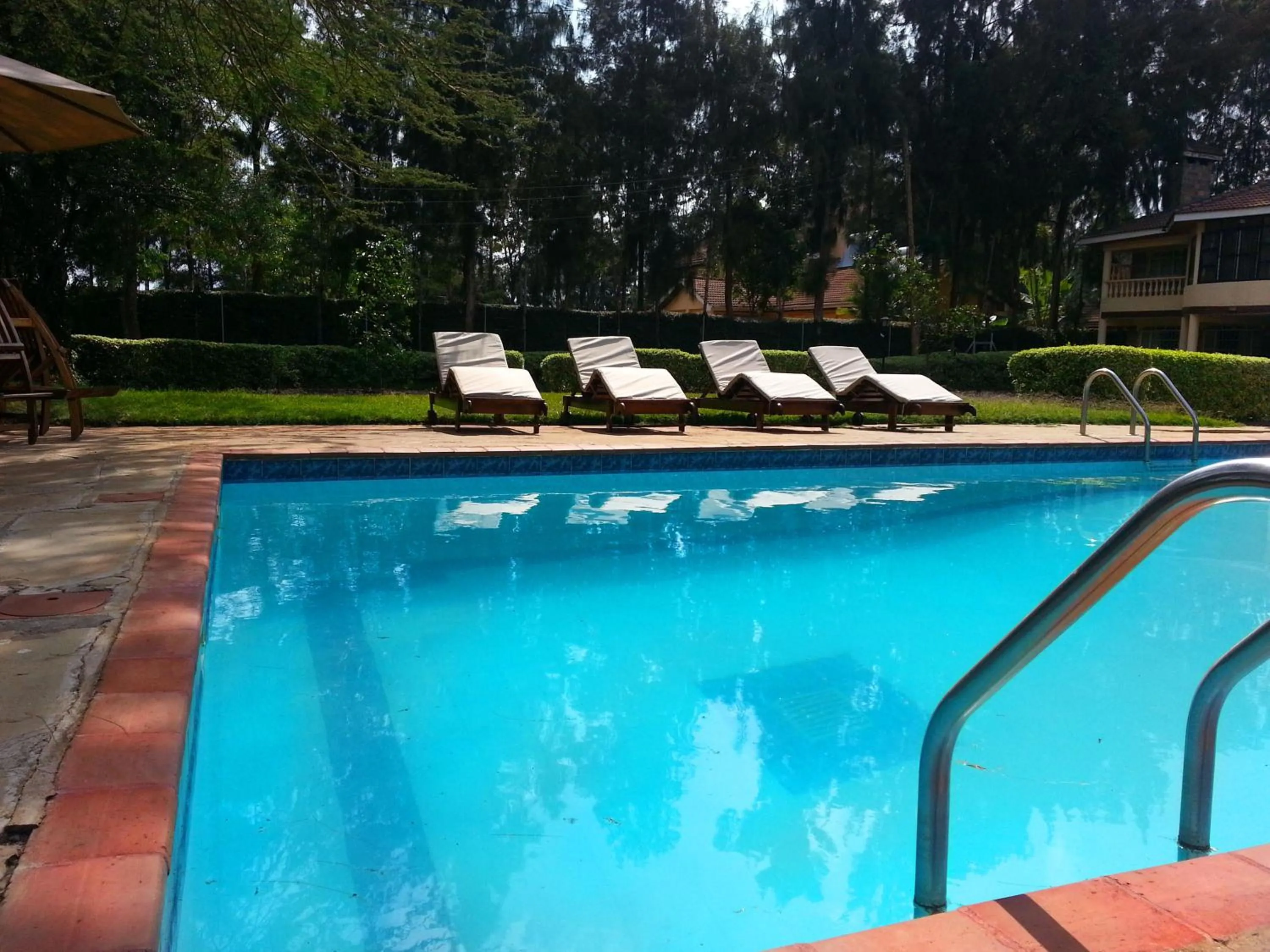 Swimming pool in Margarita House