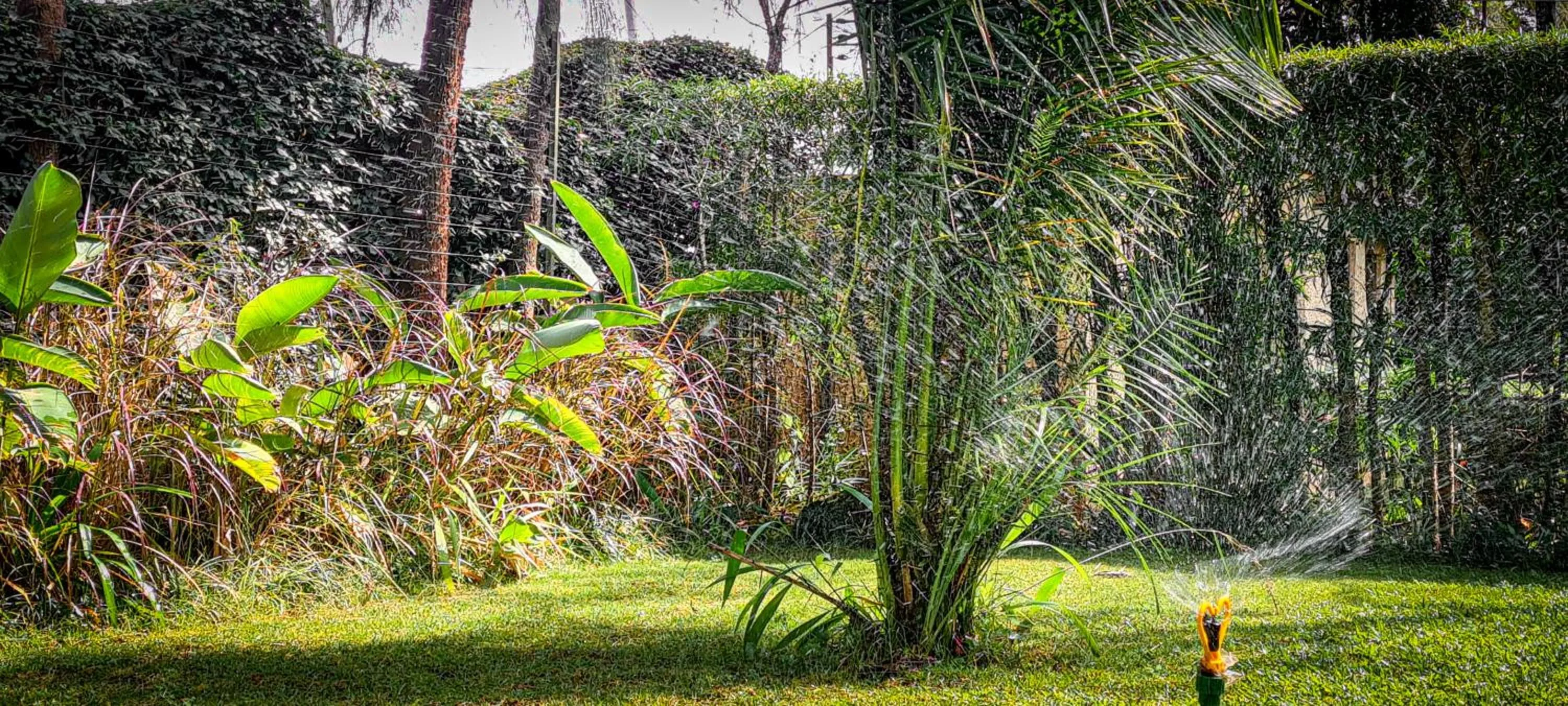 Garden in Margarita House