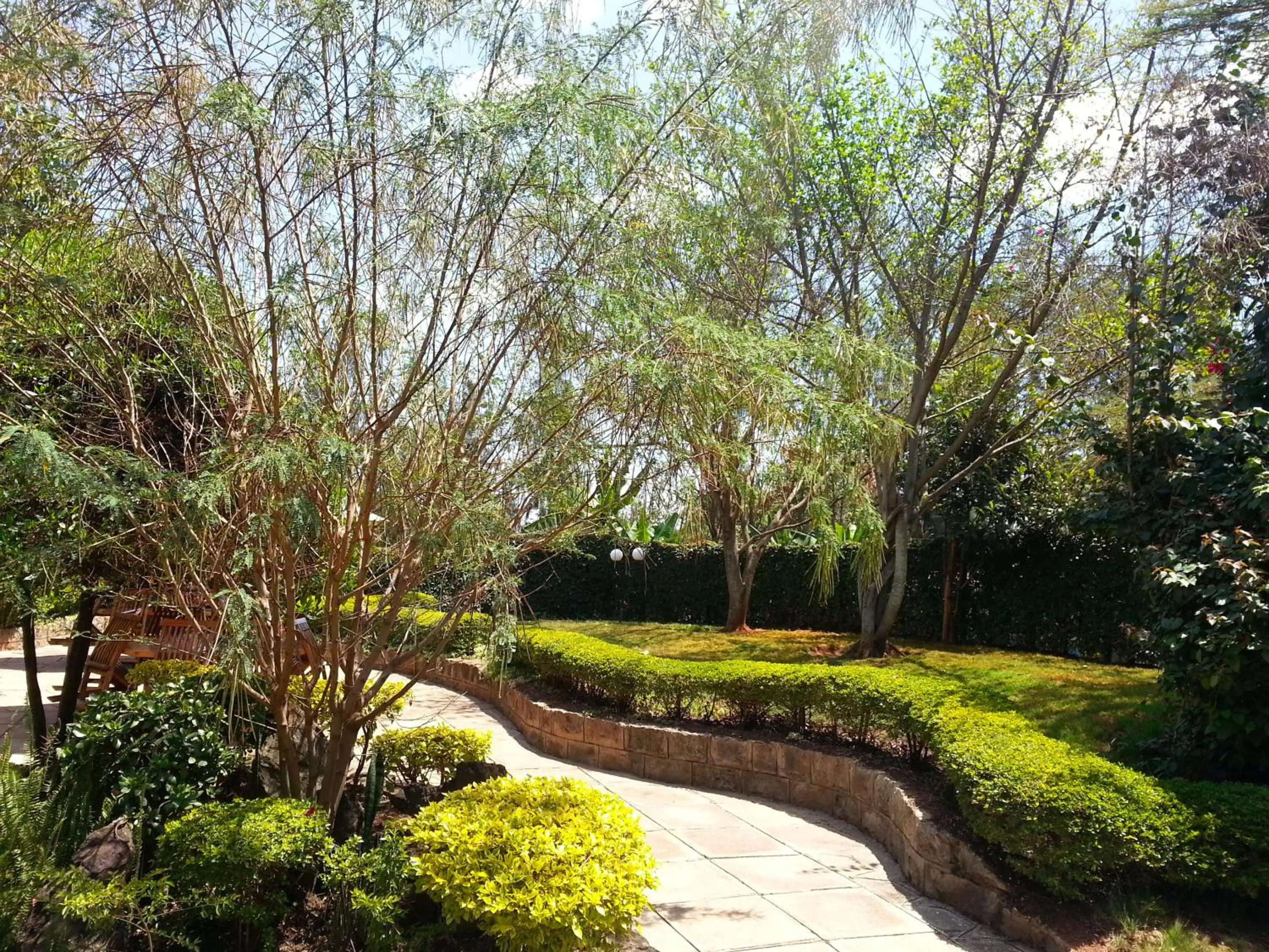Garden in Margarita House