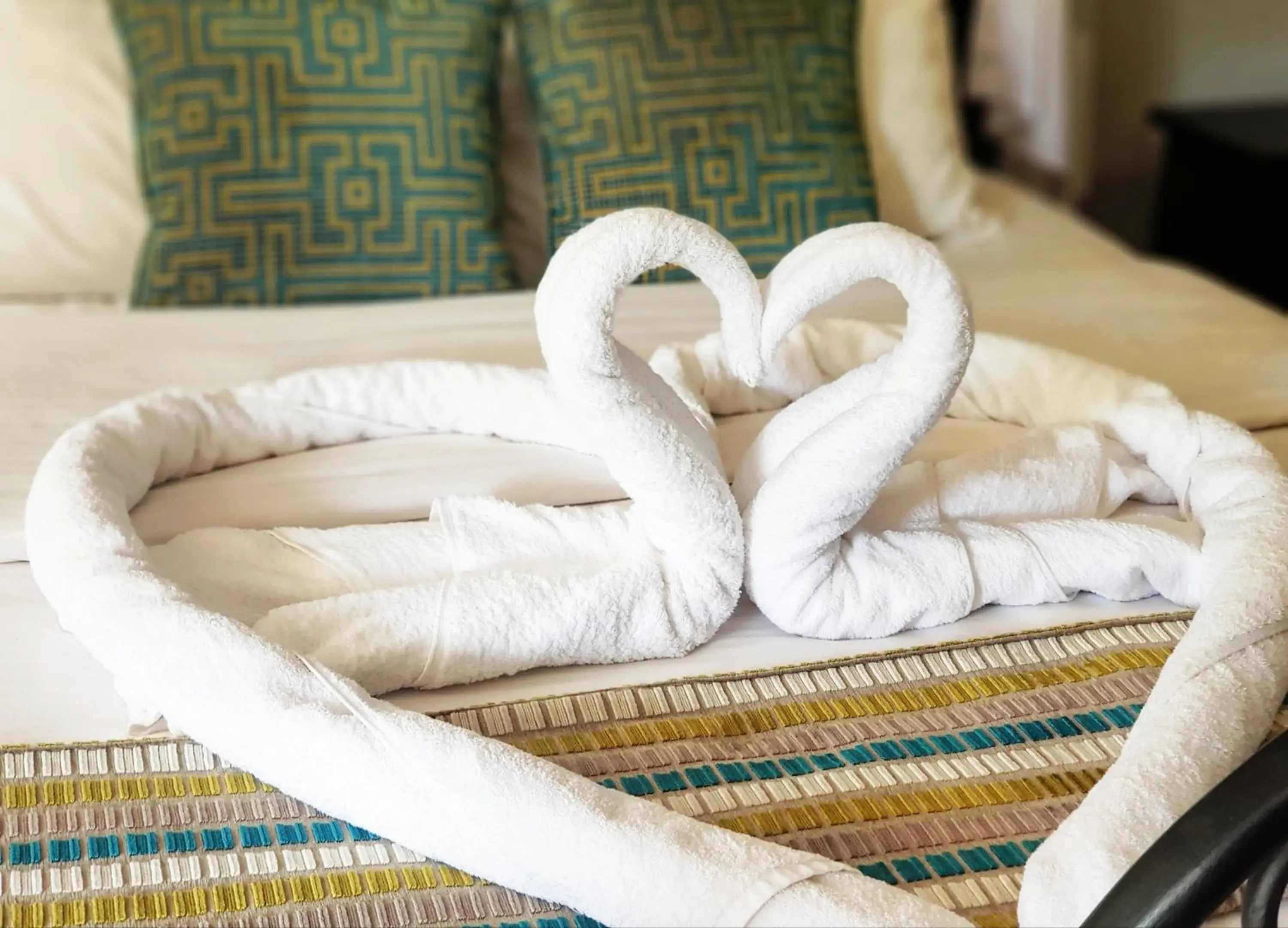 Deluxe Suite - single occupancy in Margarita House Deluxe Suite - single occupancy in Margarita House