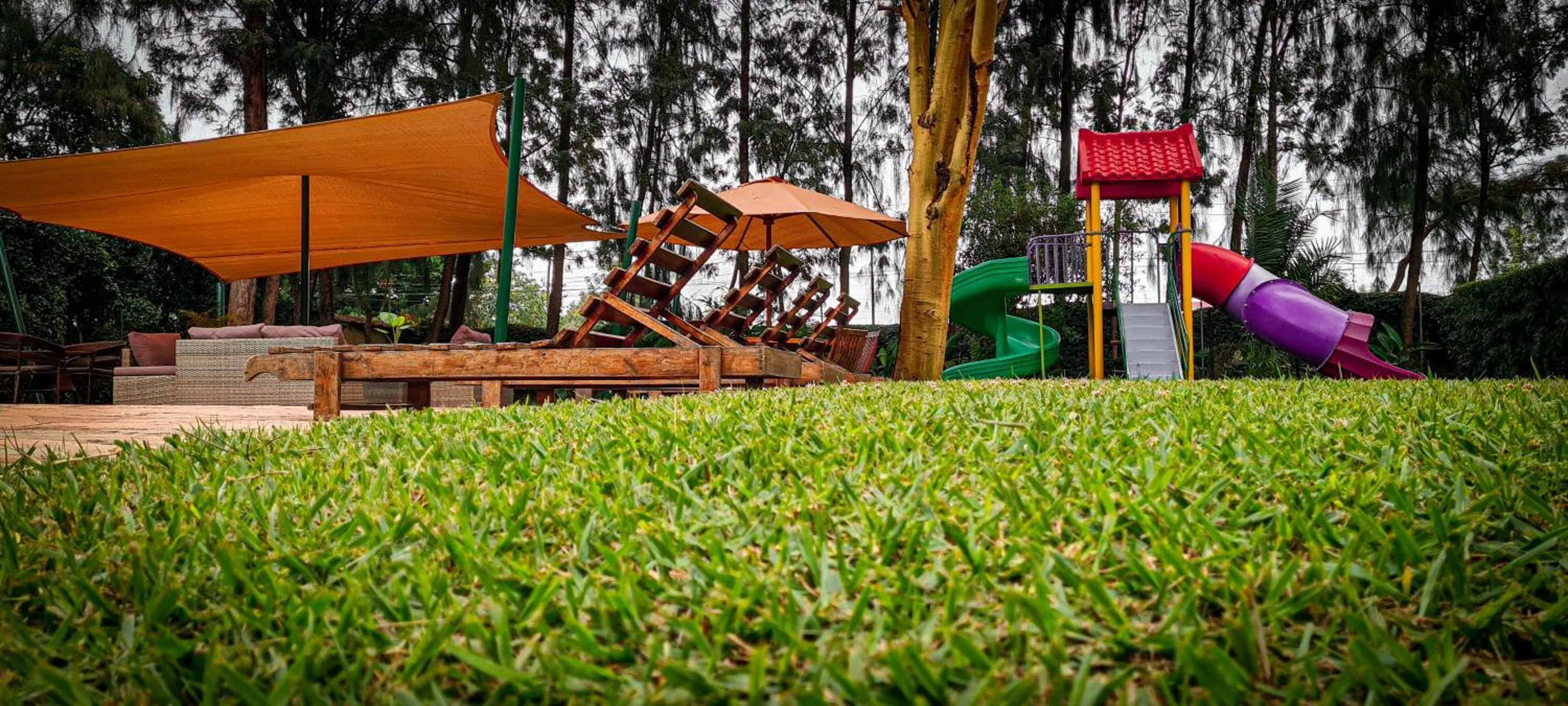 Swimming pool in Margarita House
