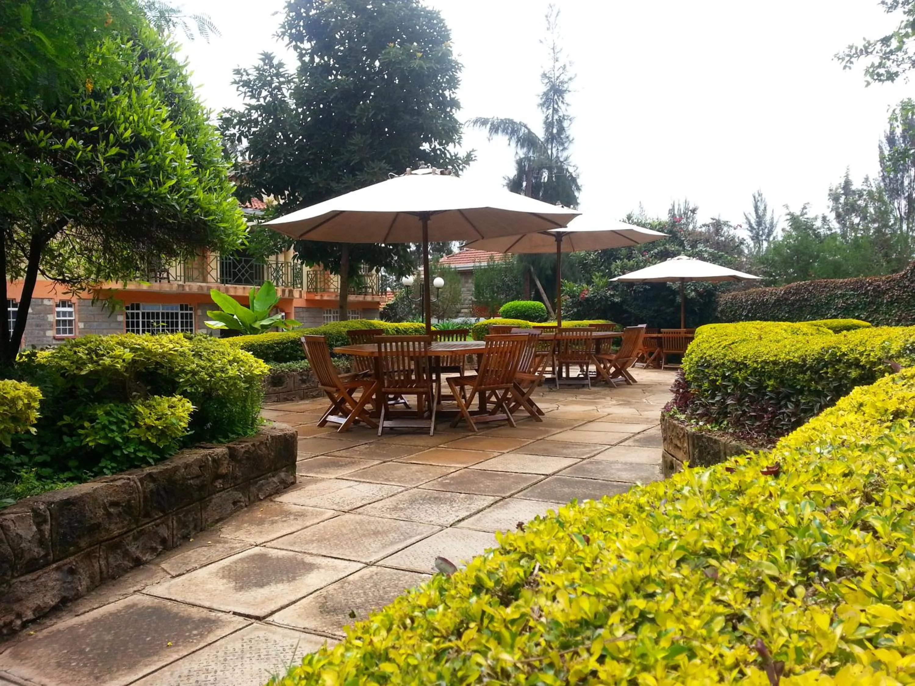 Garden in Margarita House