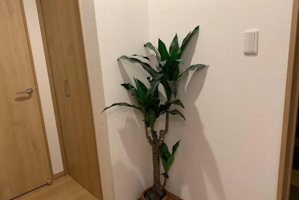 Cozy enjoyment hotel no.29