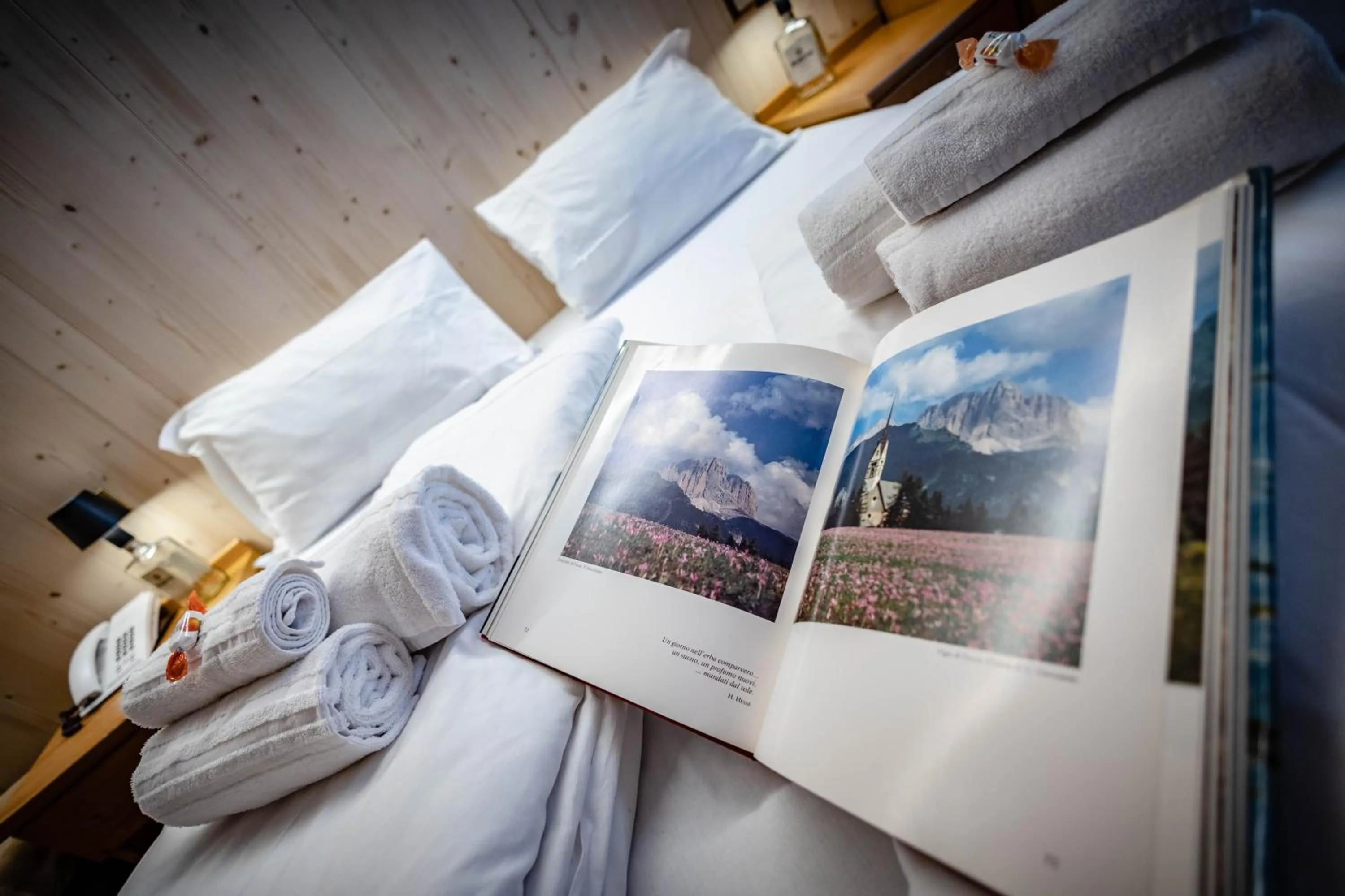 Decorative detail, Bed in Hotel Grizzly "Ski-in Ski-out"
