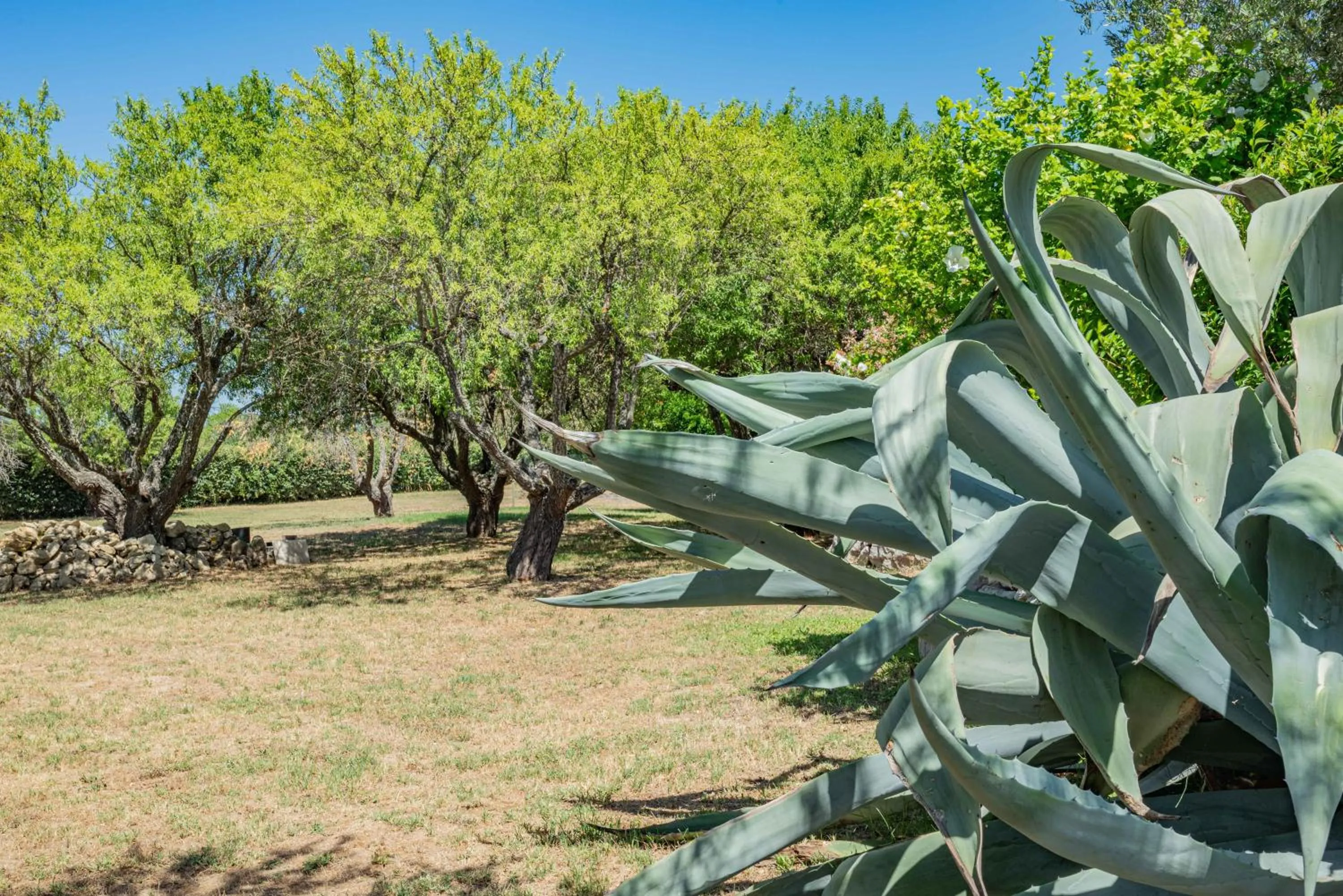 Garden in Les Chambres du Perussier