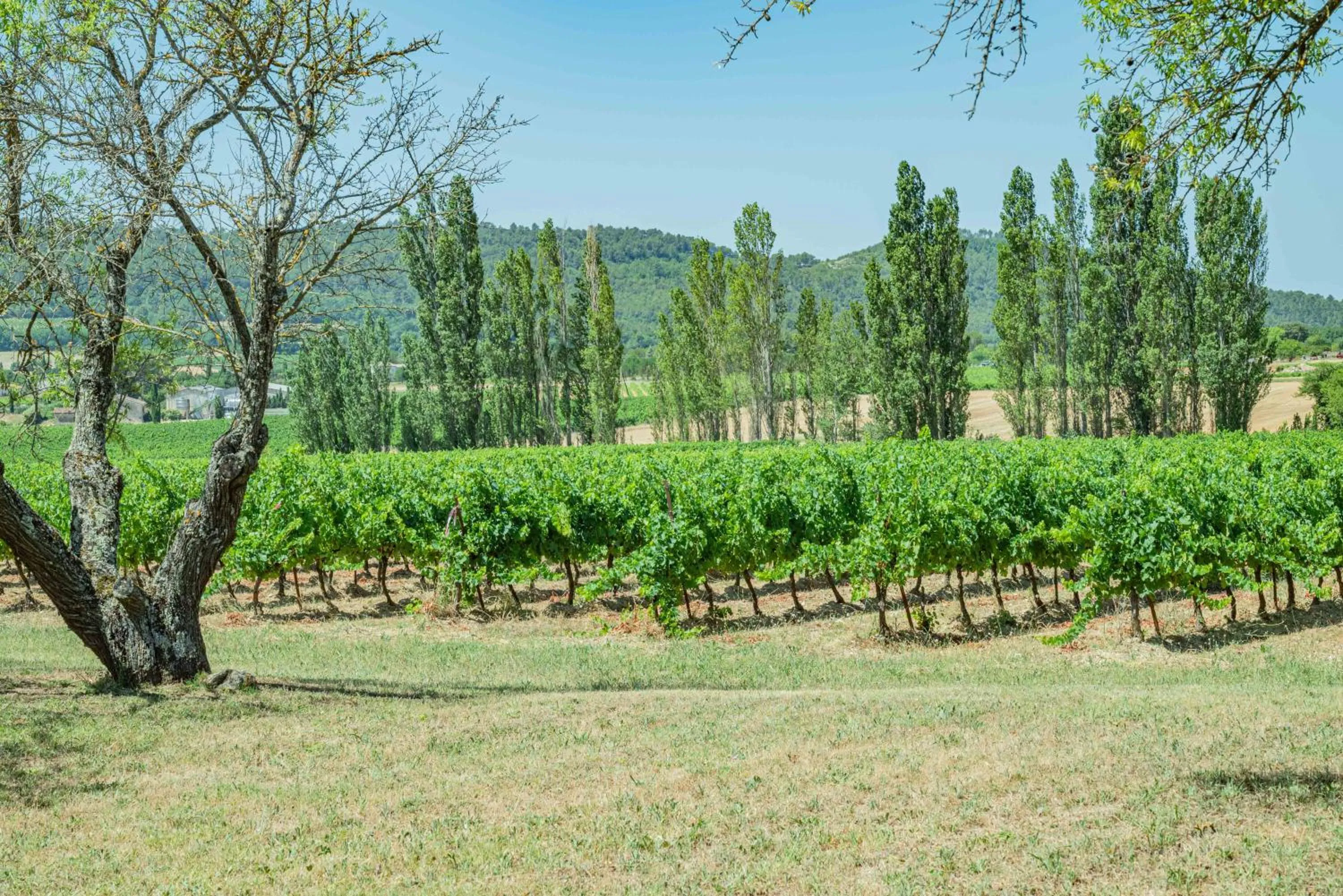 Garden in Les Chambres du Perussier