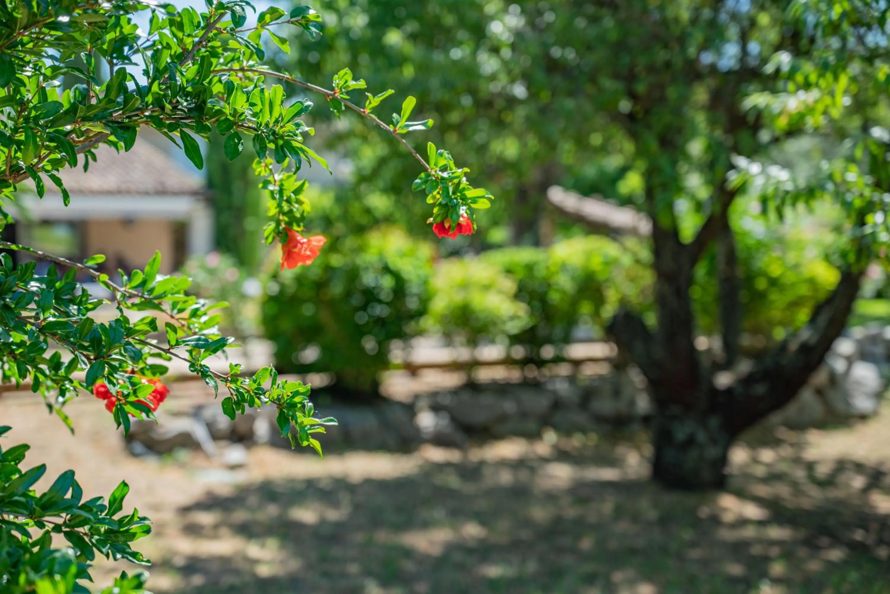 Garden in Les Chambres du Perussier