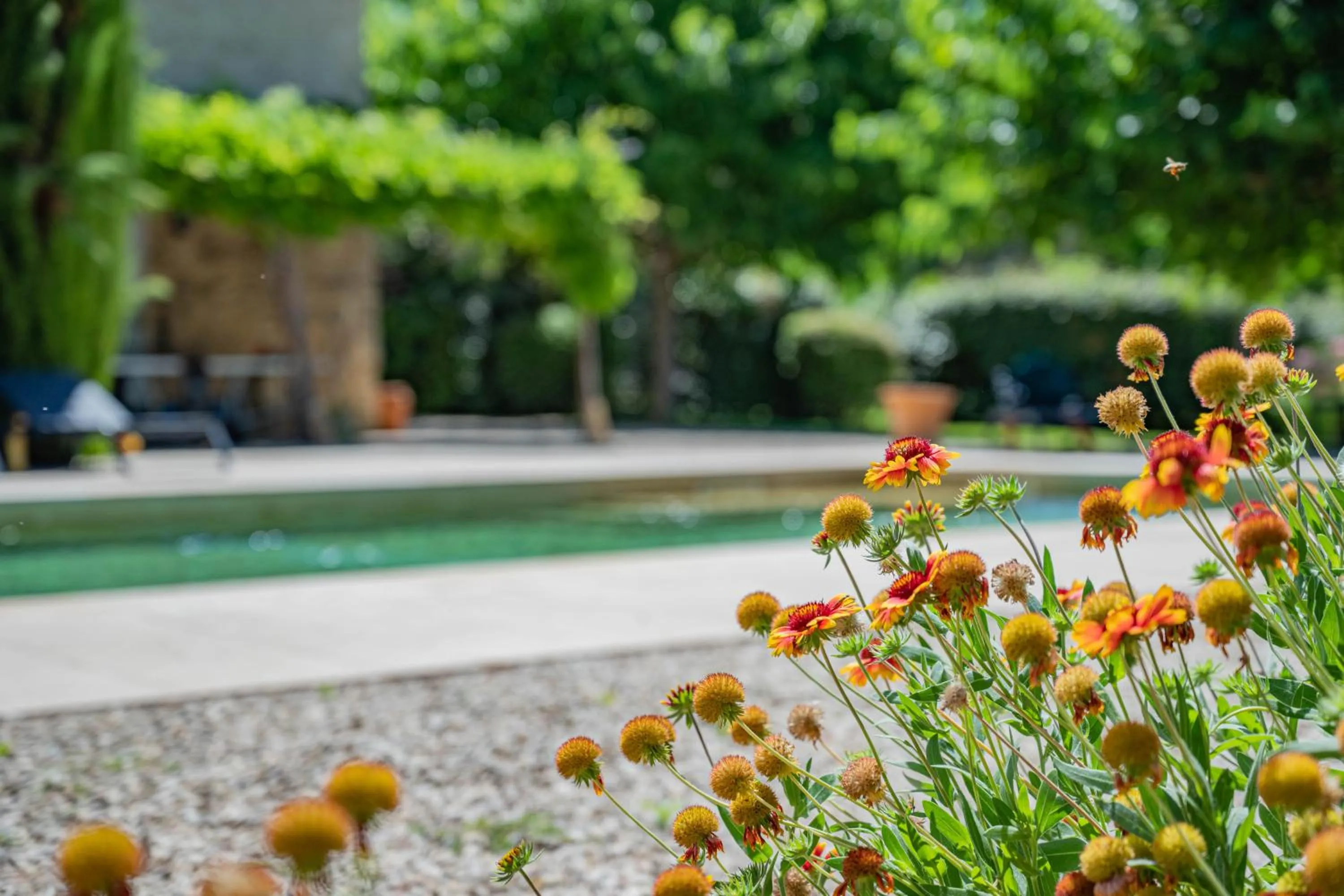 Garden in Les Chambres du Perussier