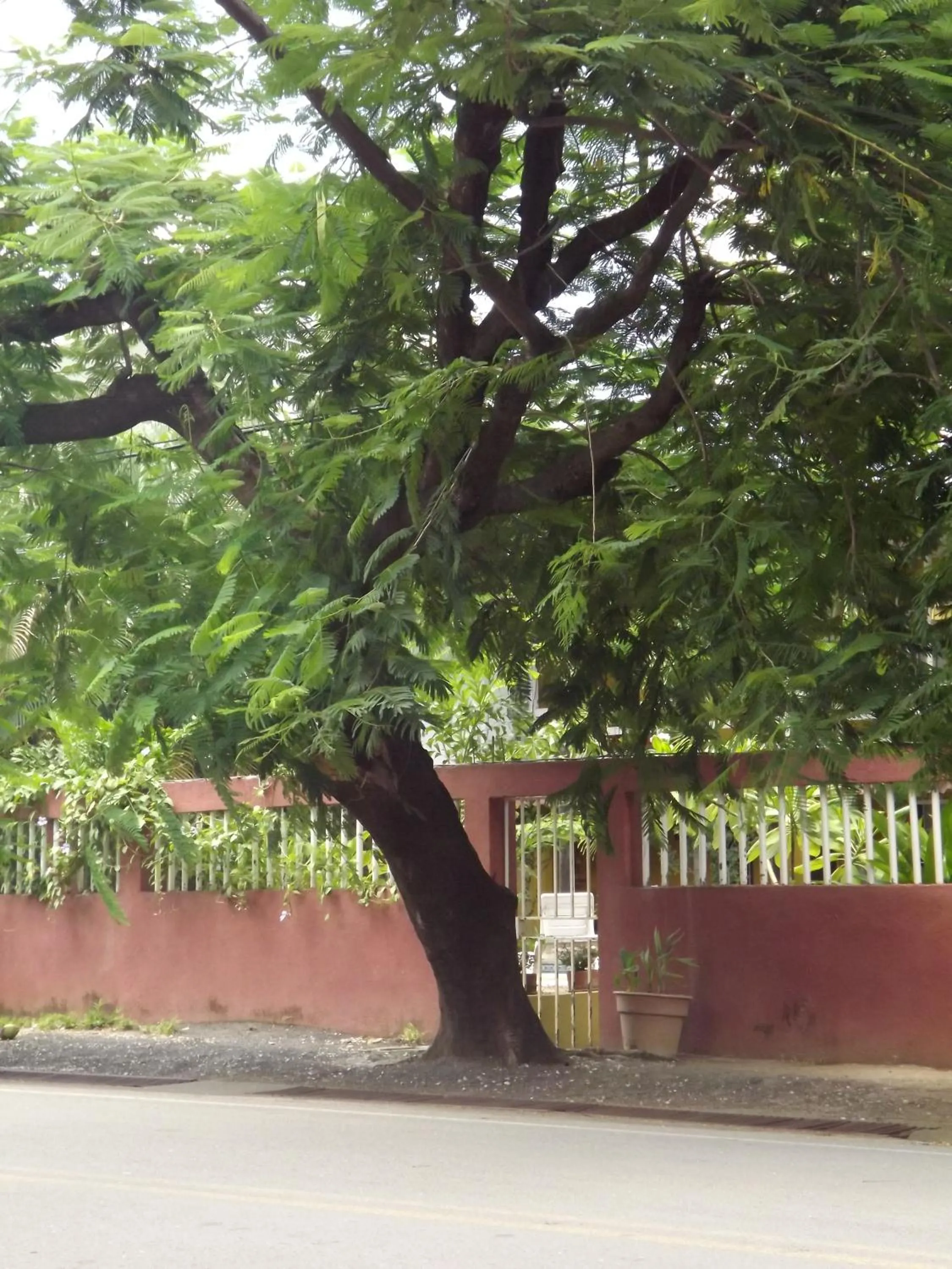 Day in Hotel Laura's House