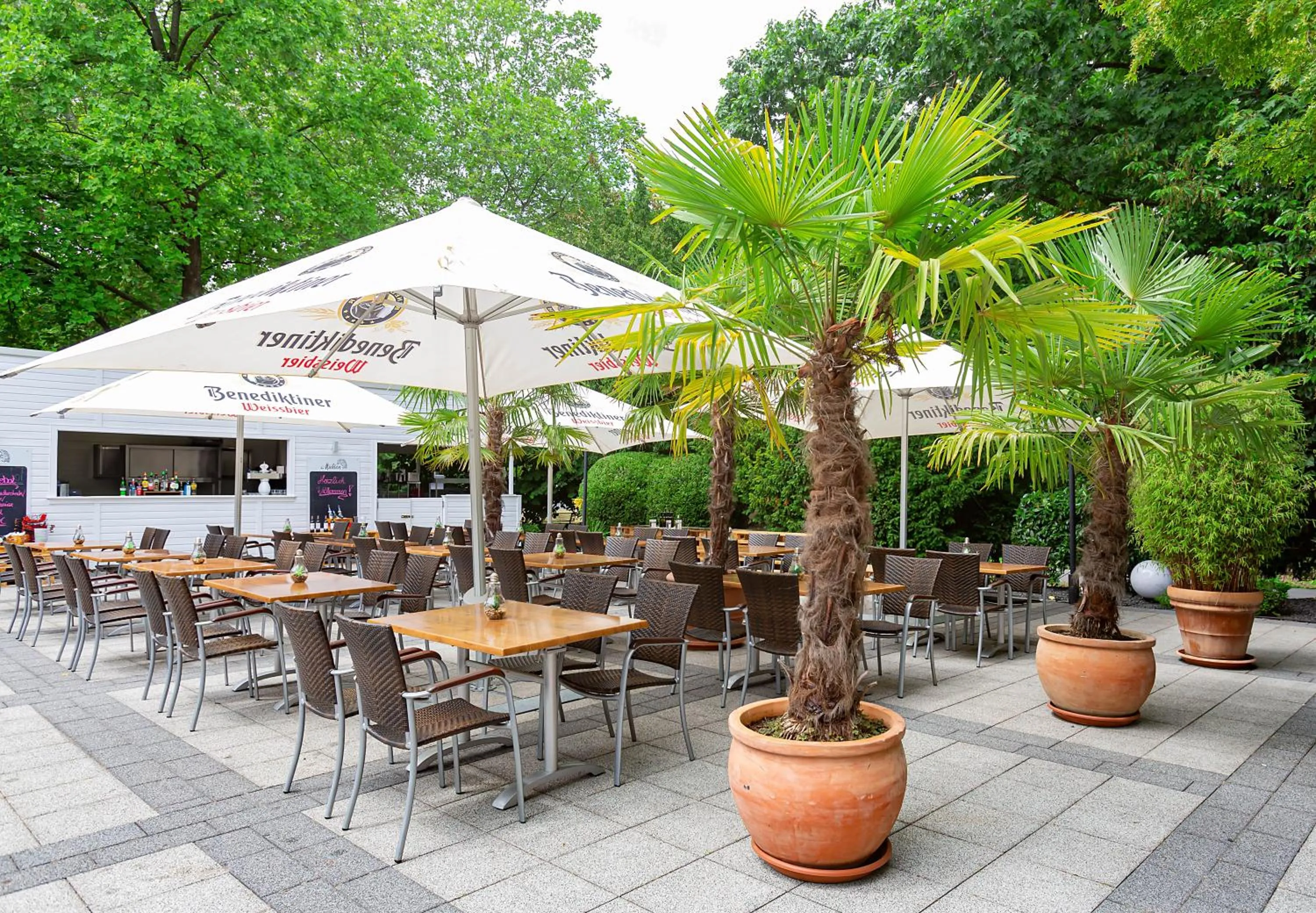 Garden in Dorint Kongresshotel Düsseldorf/Neuss
