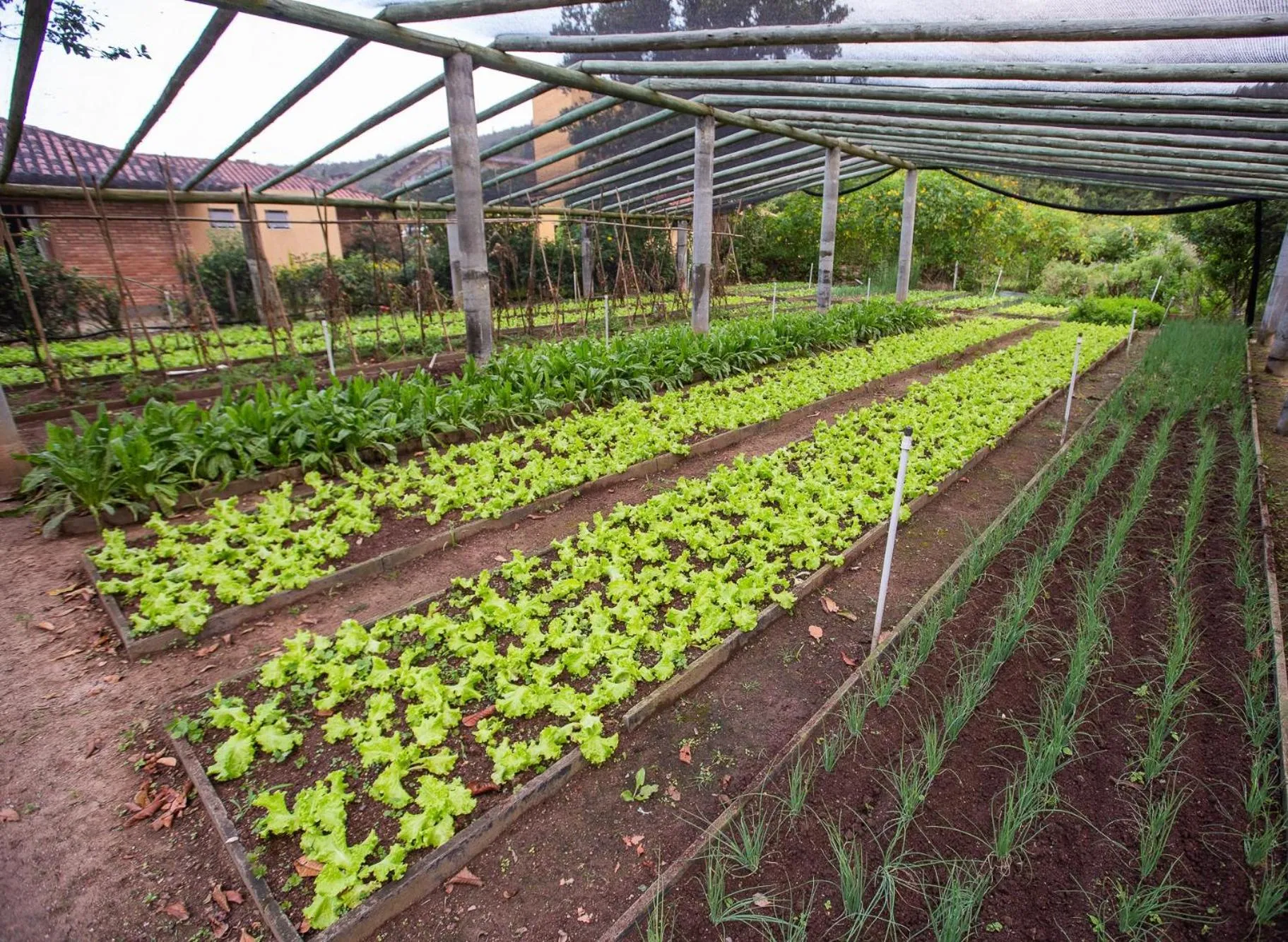 Garden in Águas de Palmas Resort