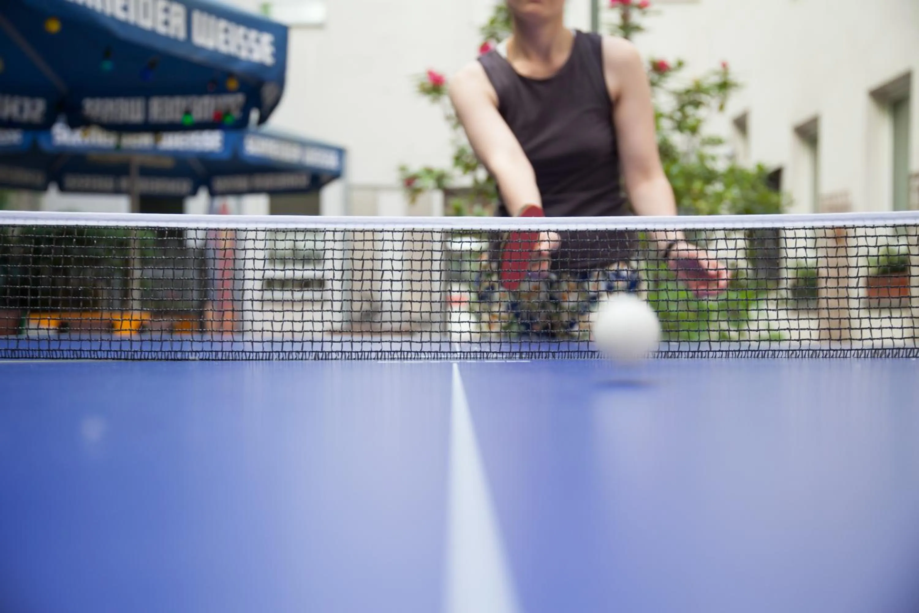 Garden in Steps-Hotel