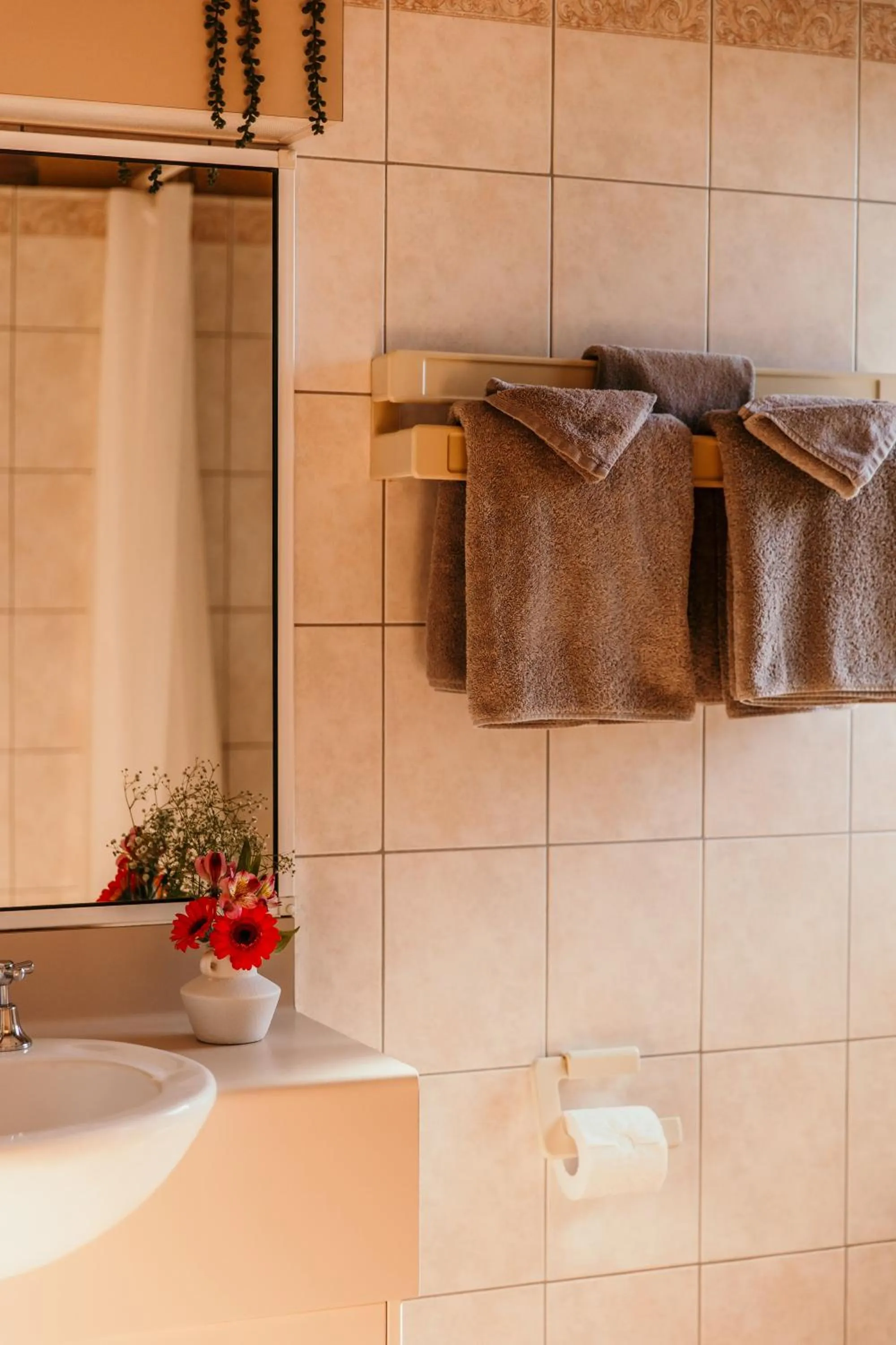 towels in Abacus Motel