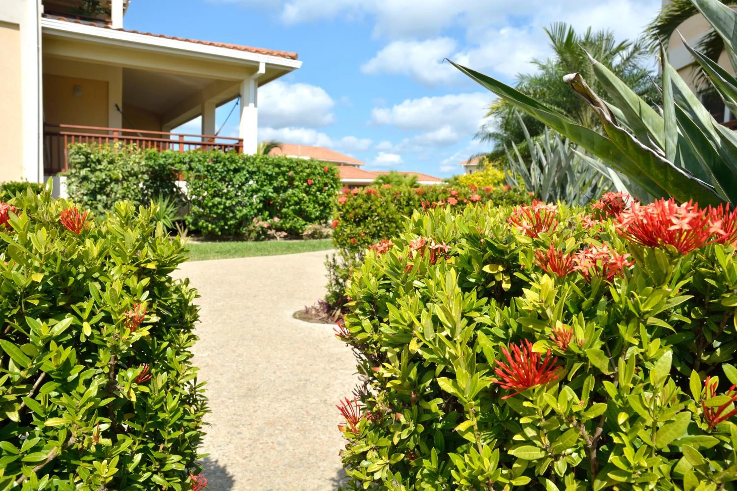 Property building in Seiri del Mar