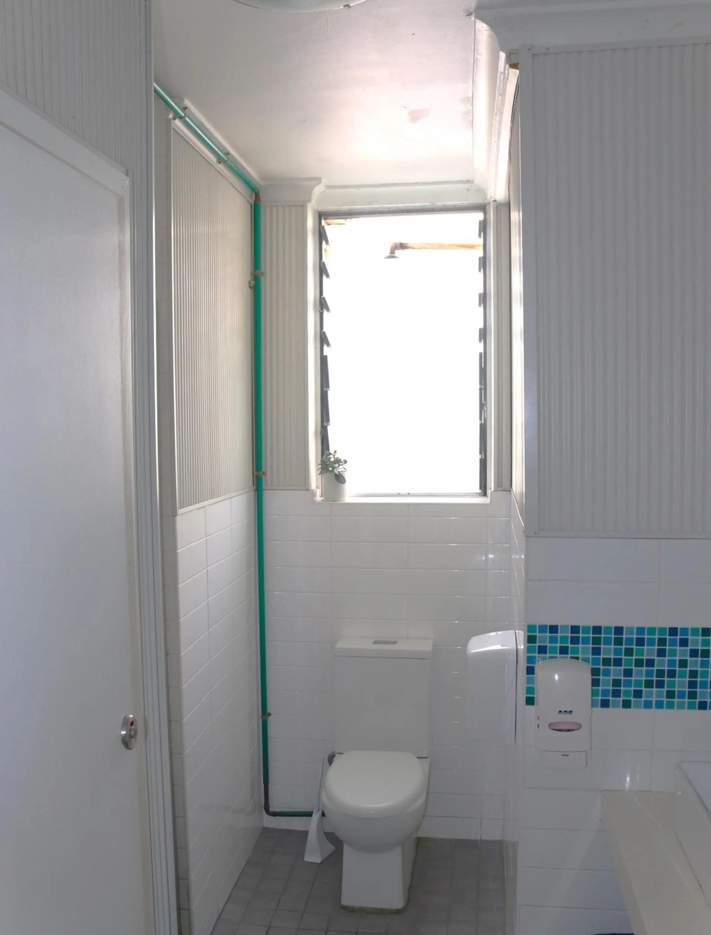 Original Backpackers