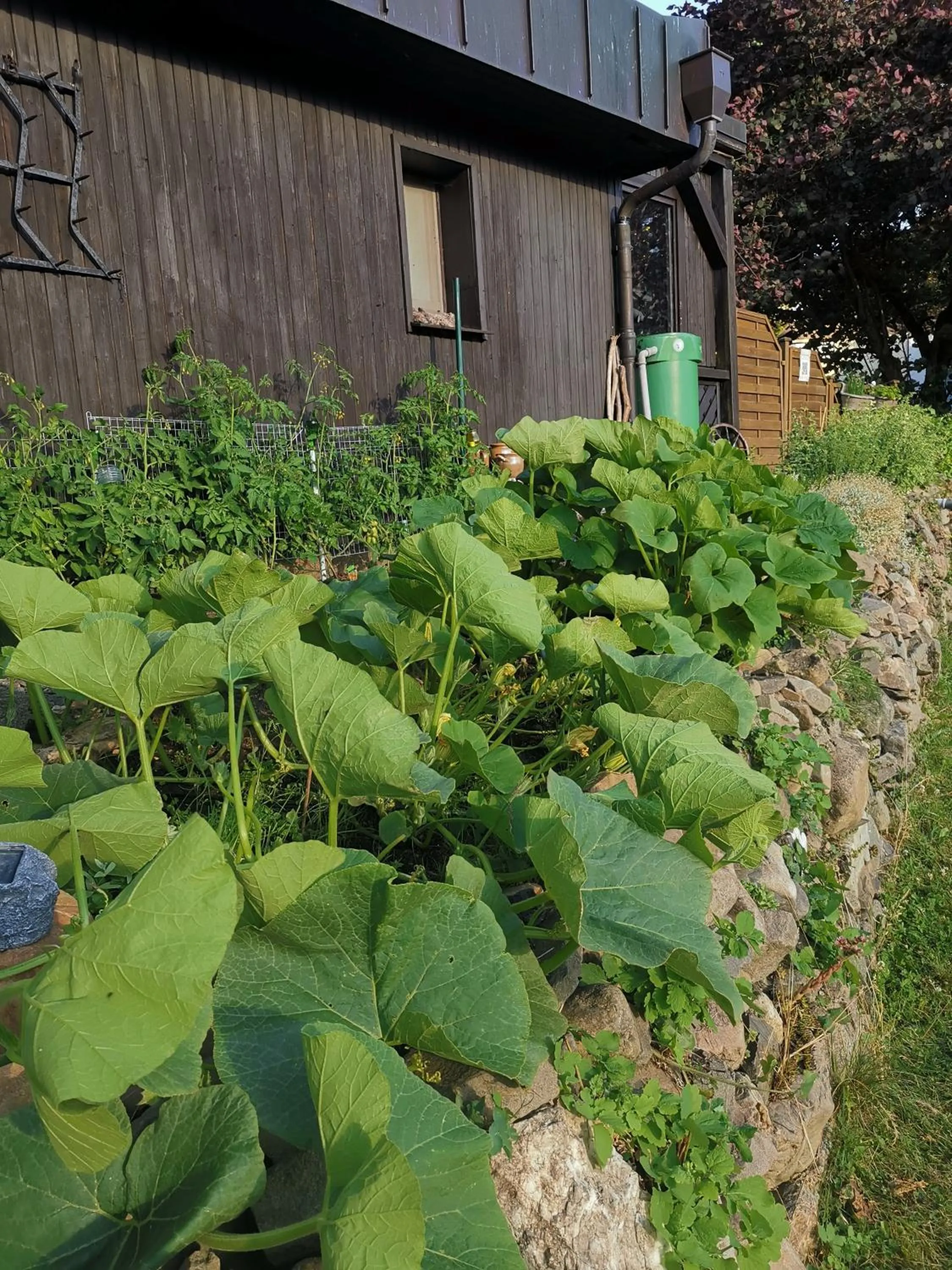 Day in Hotel zur Schmiede