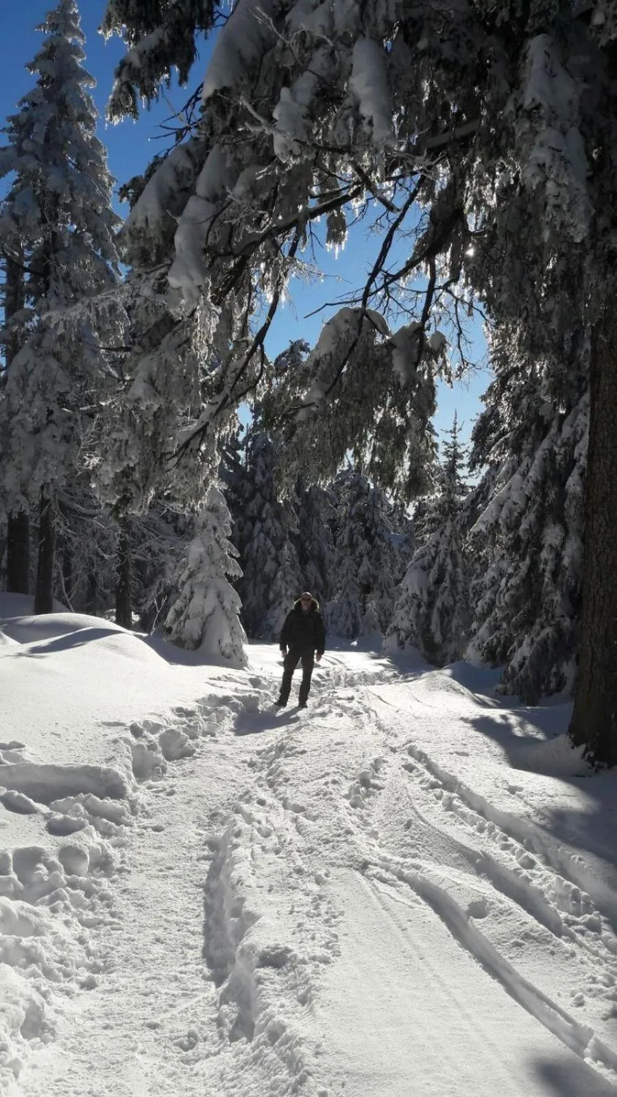 Day in Hotel zur Schmiede
