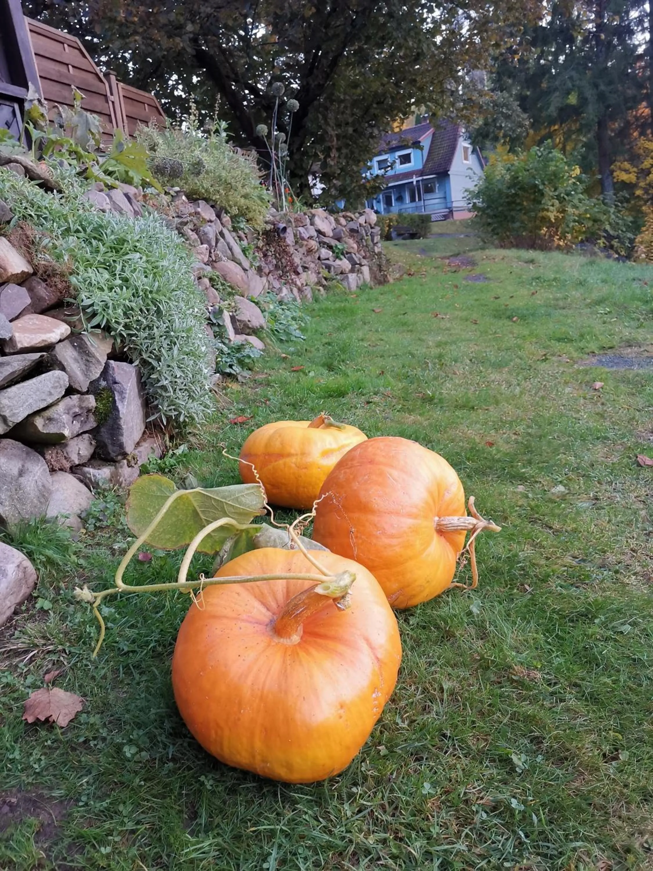 Day in Hotel zur Schmiede