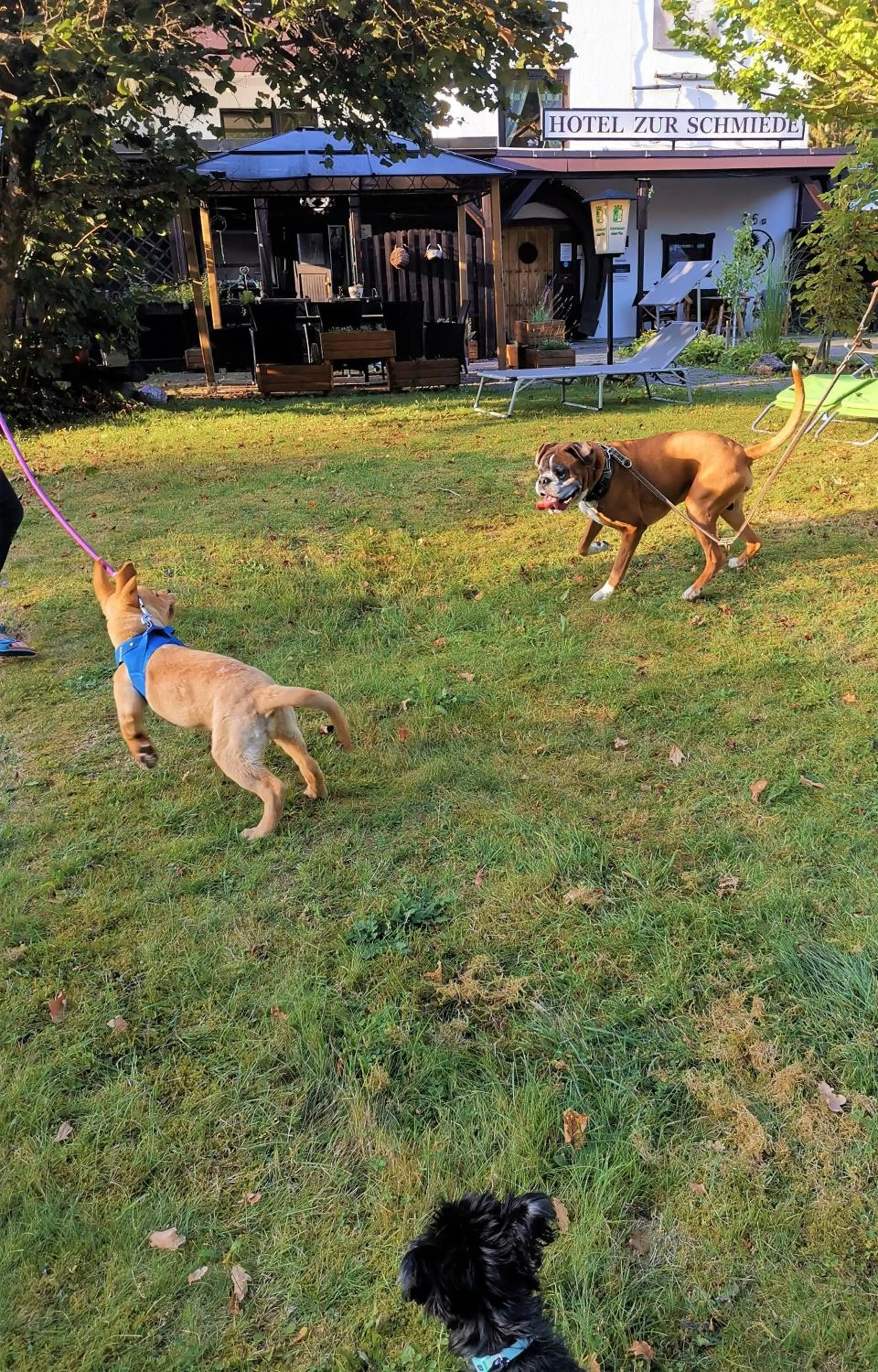 Day in Hotel zur Schmiede