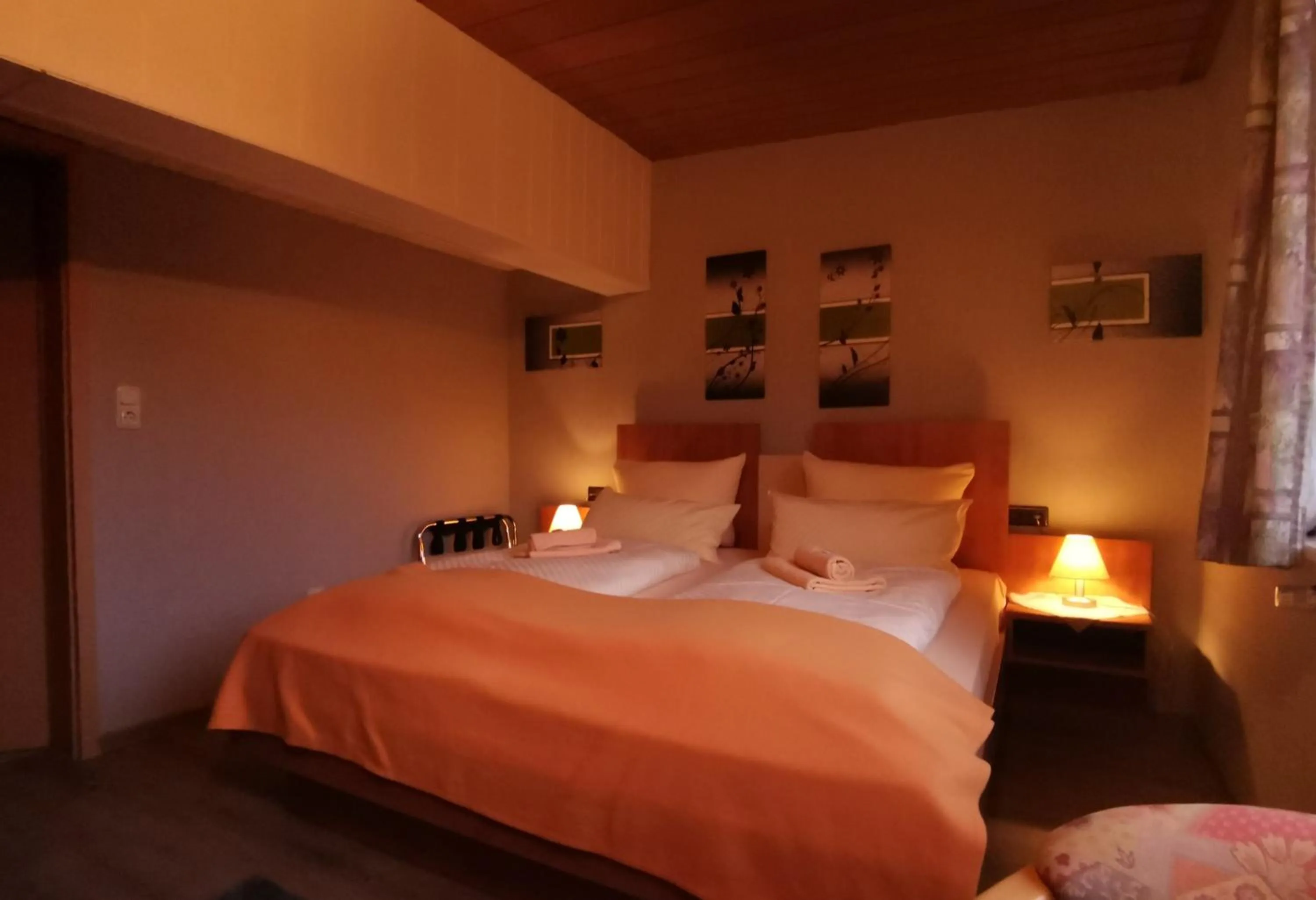 Bed in Hotel zur Schmiede