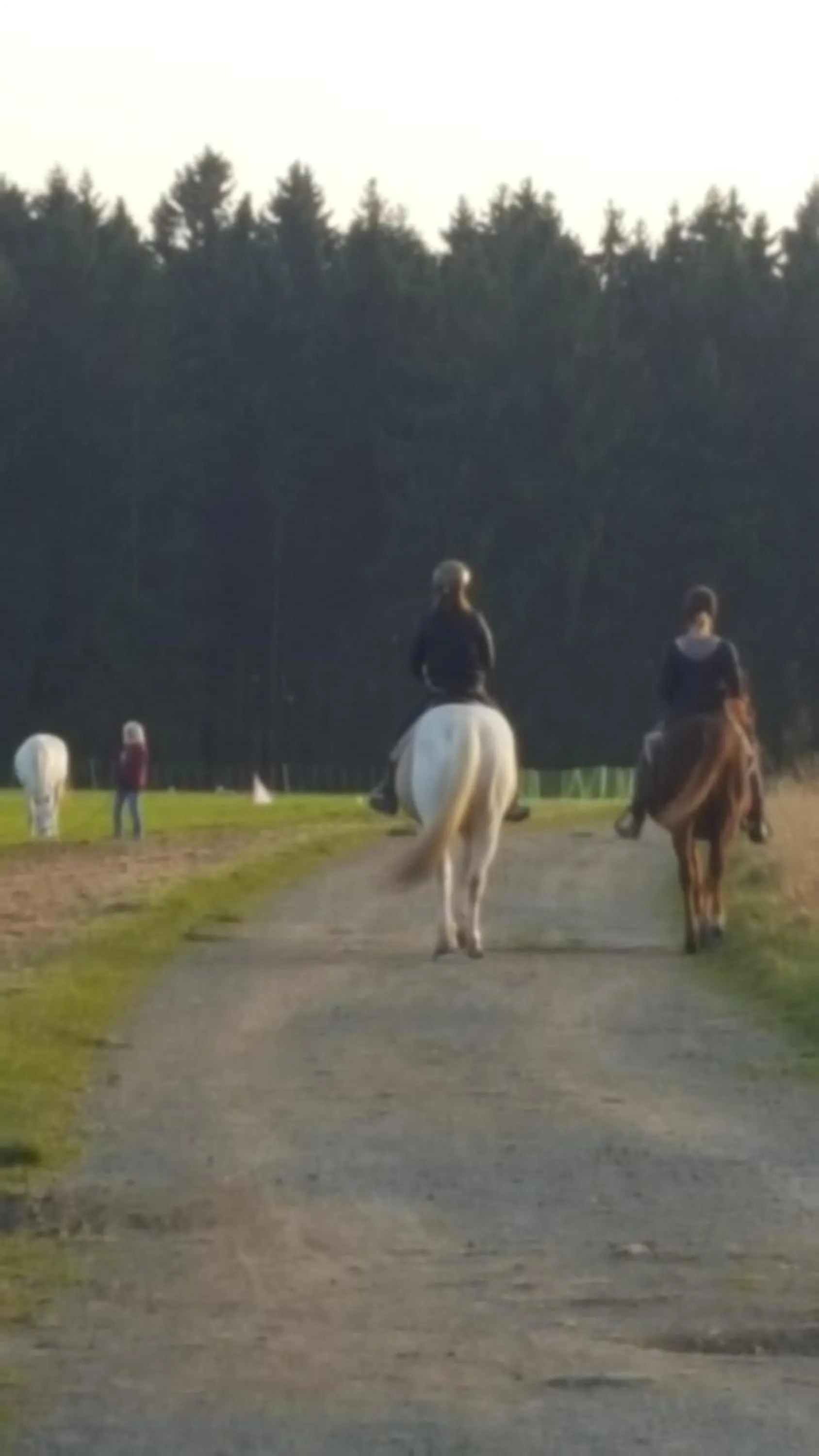 Day in Hotel zur Schmiede