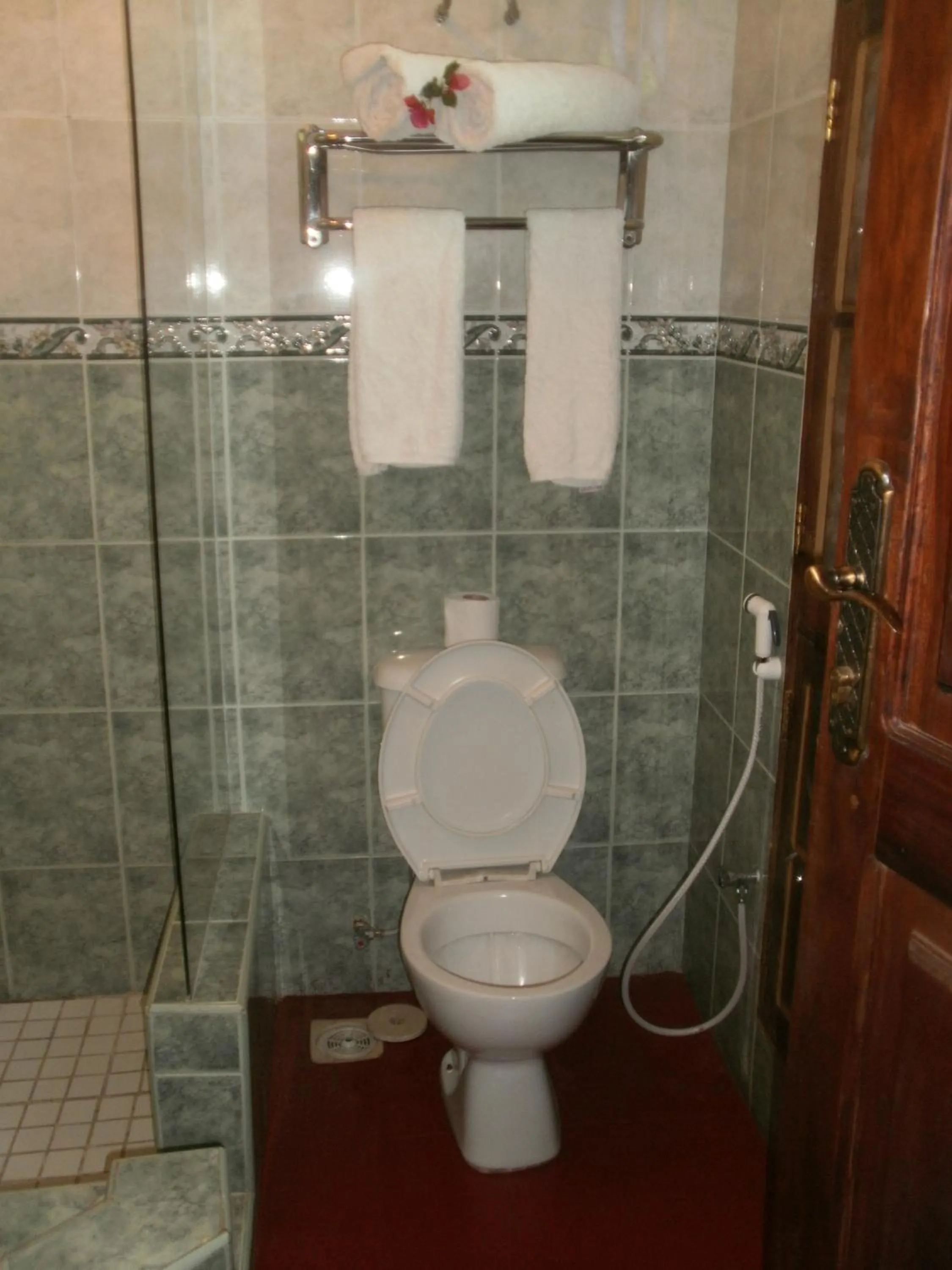 Toilet in Asmini Palace Hotel