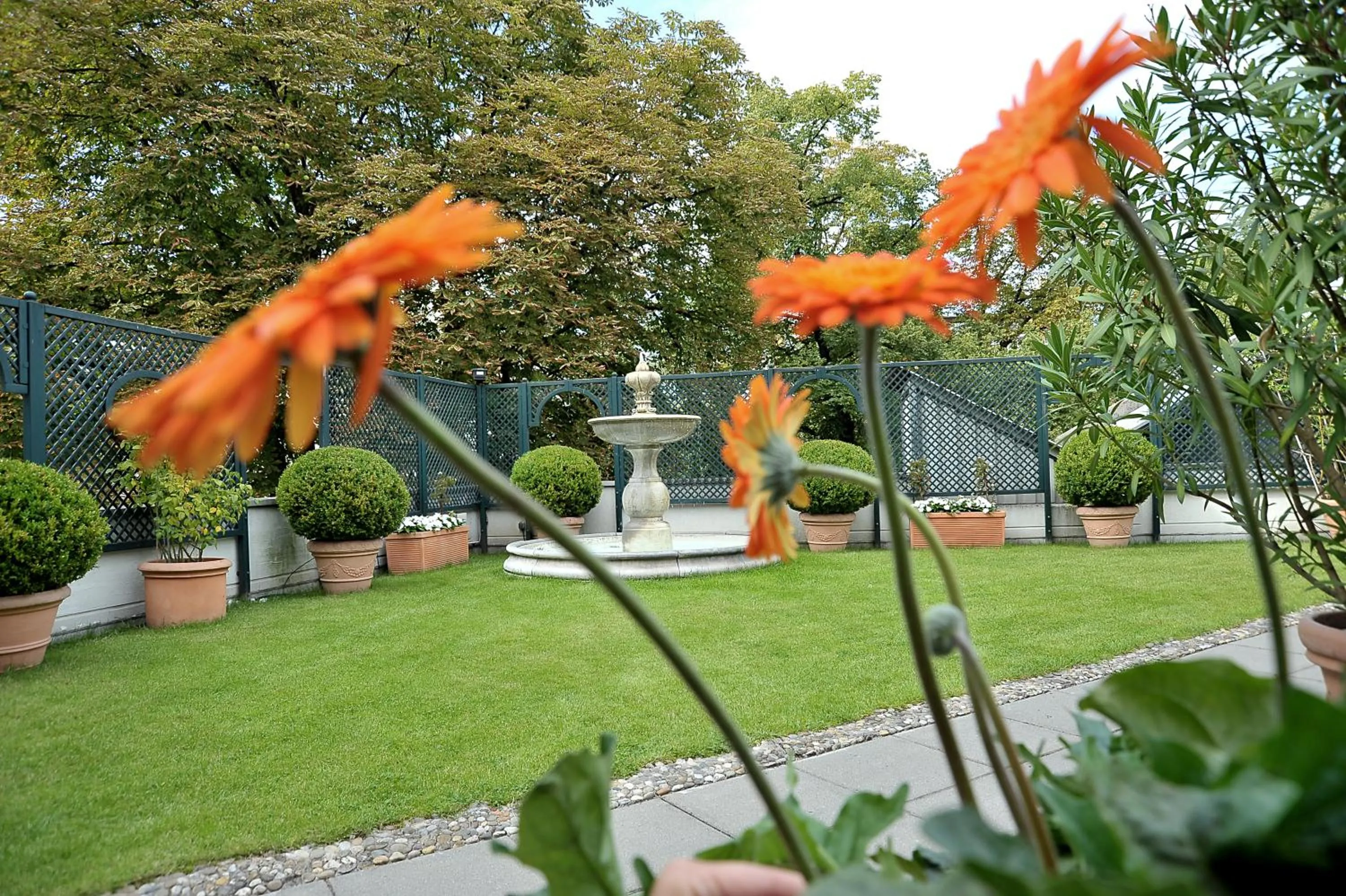 Garden in Hotel Ludwig van Beethoven