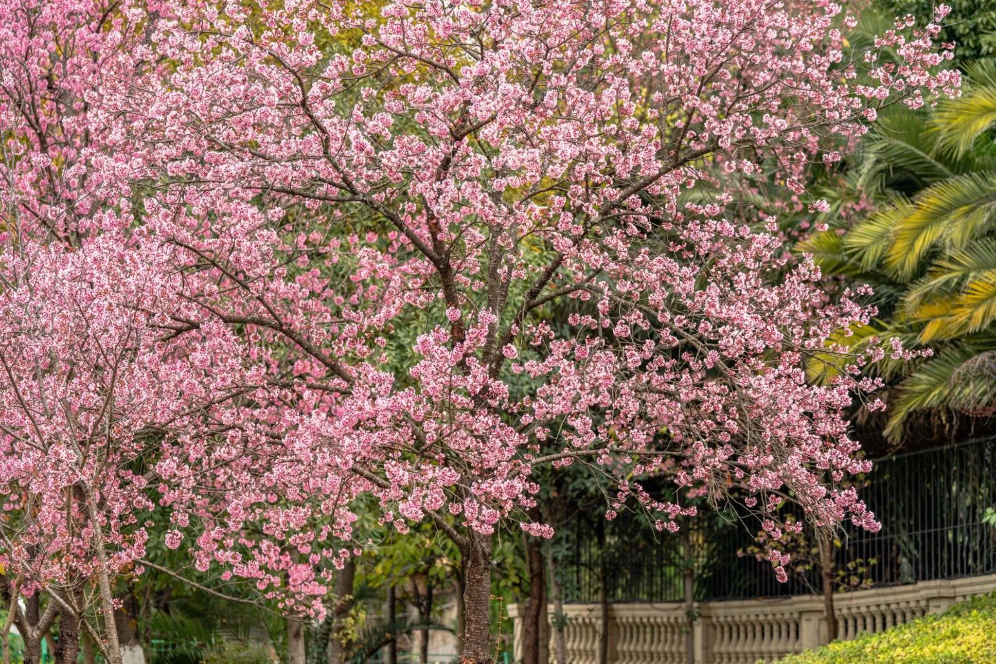 Other in InterContinental Kunming by IHG