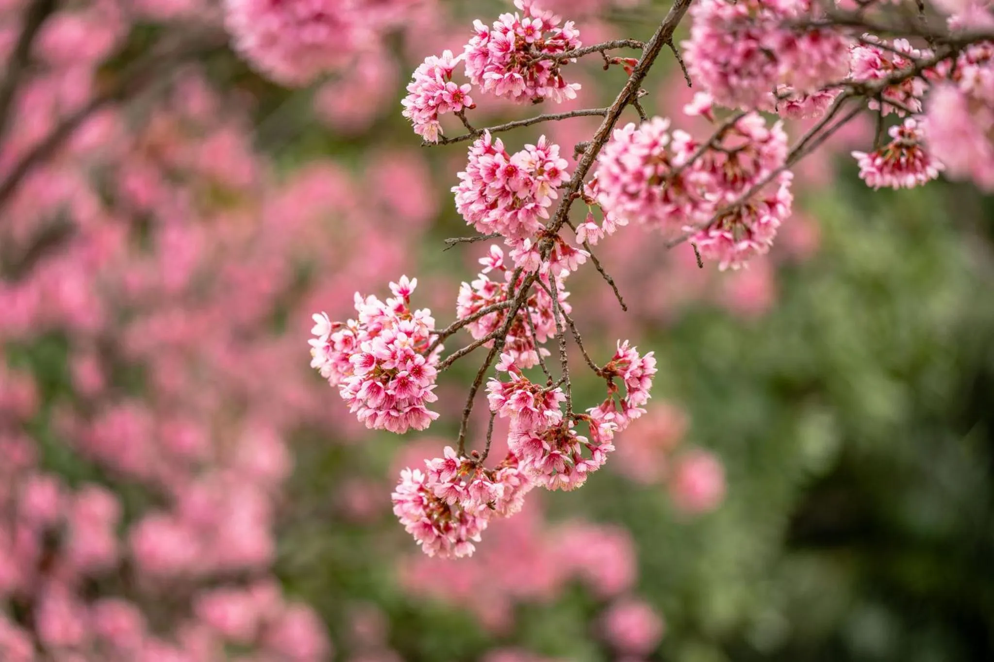 Other in InterContinental Kunming by IHG
