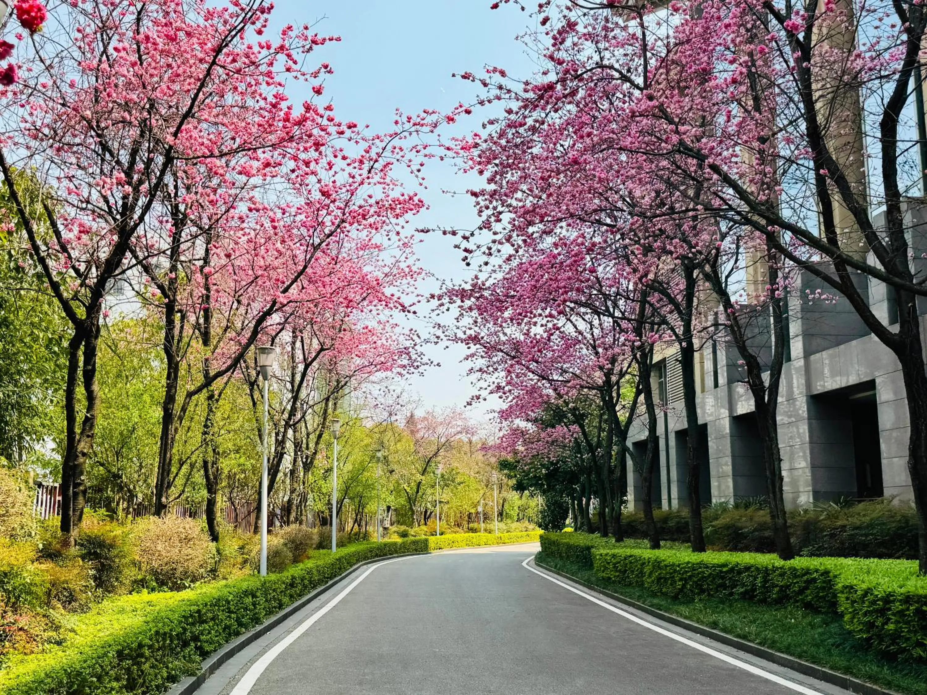 Property building in InterContinental Kunming by IHG