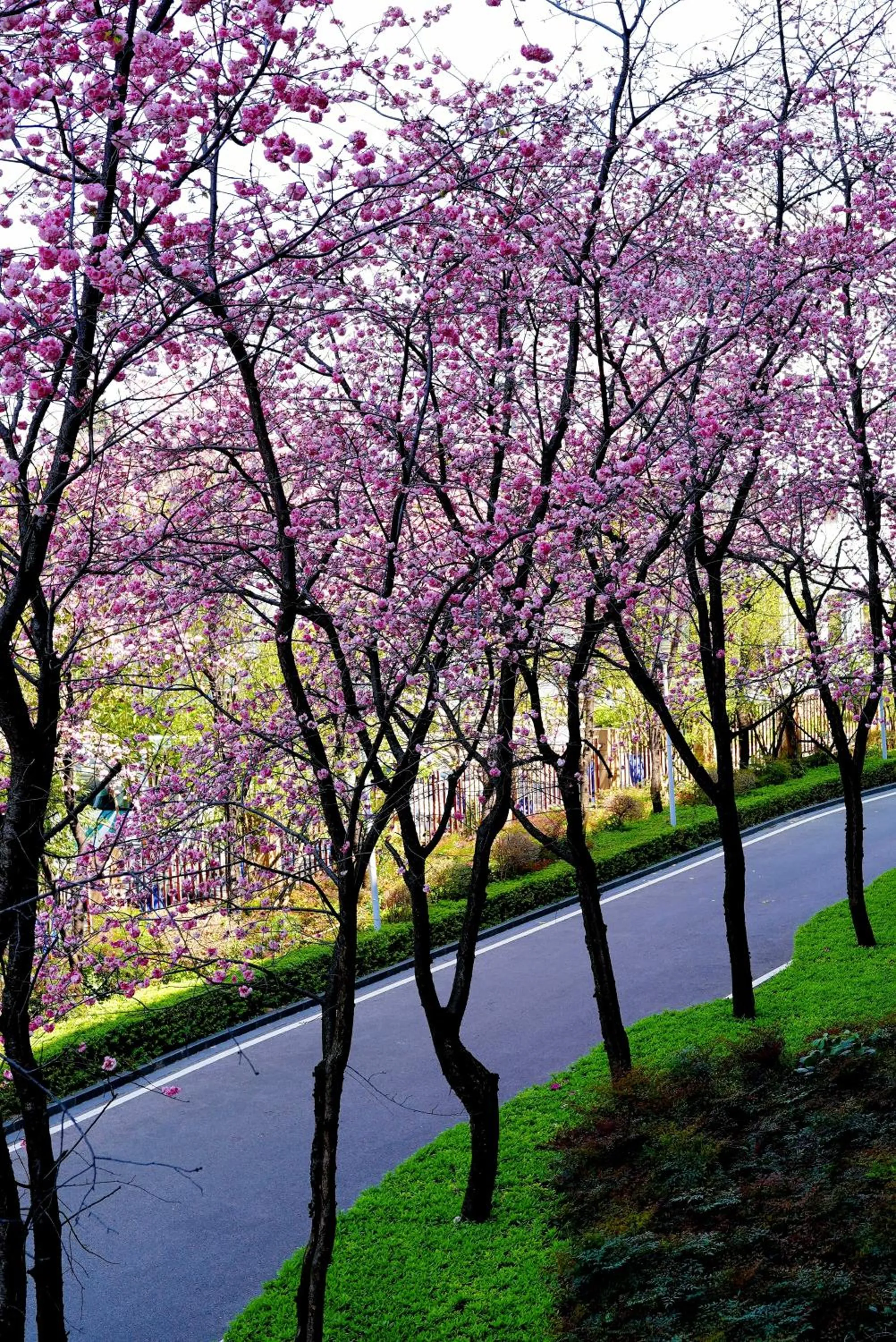 Property building in InterContinental Kunming by IHG