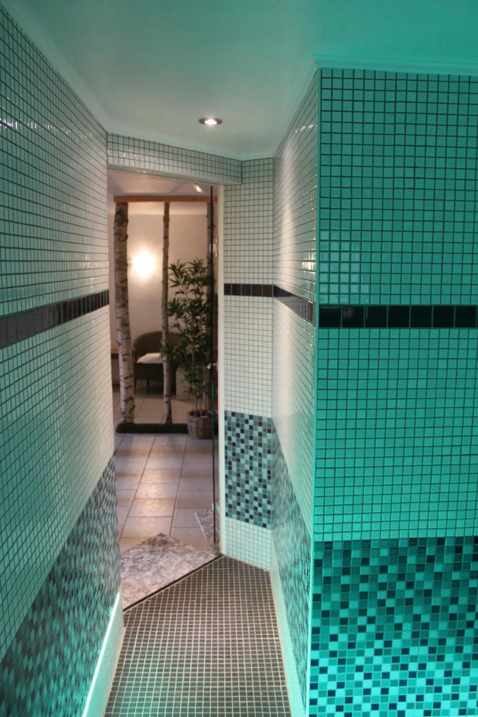Spa and wellness centre/facilities in Stelinger Hof Hotel Münkel