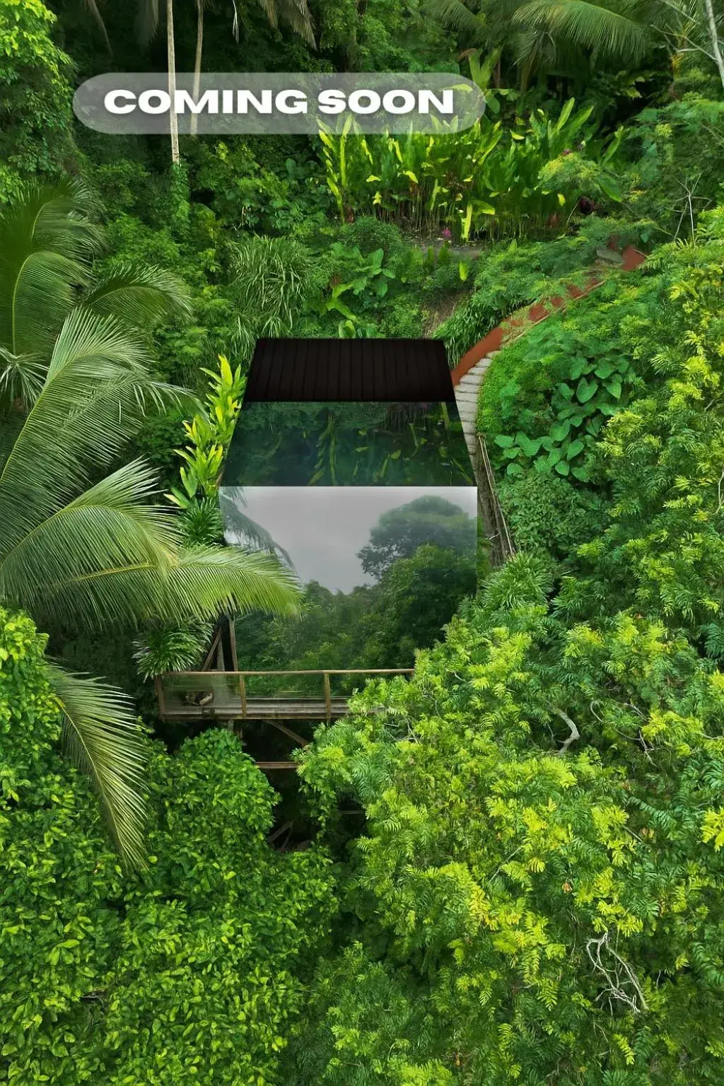 View (from property/room) in K Club Ubud View (from property/room) in K Club Ubud